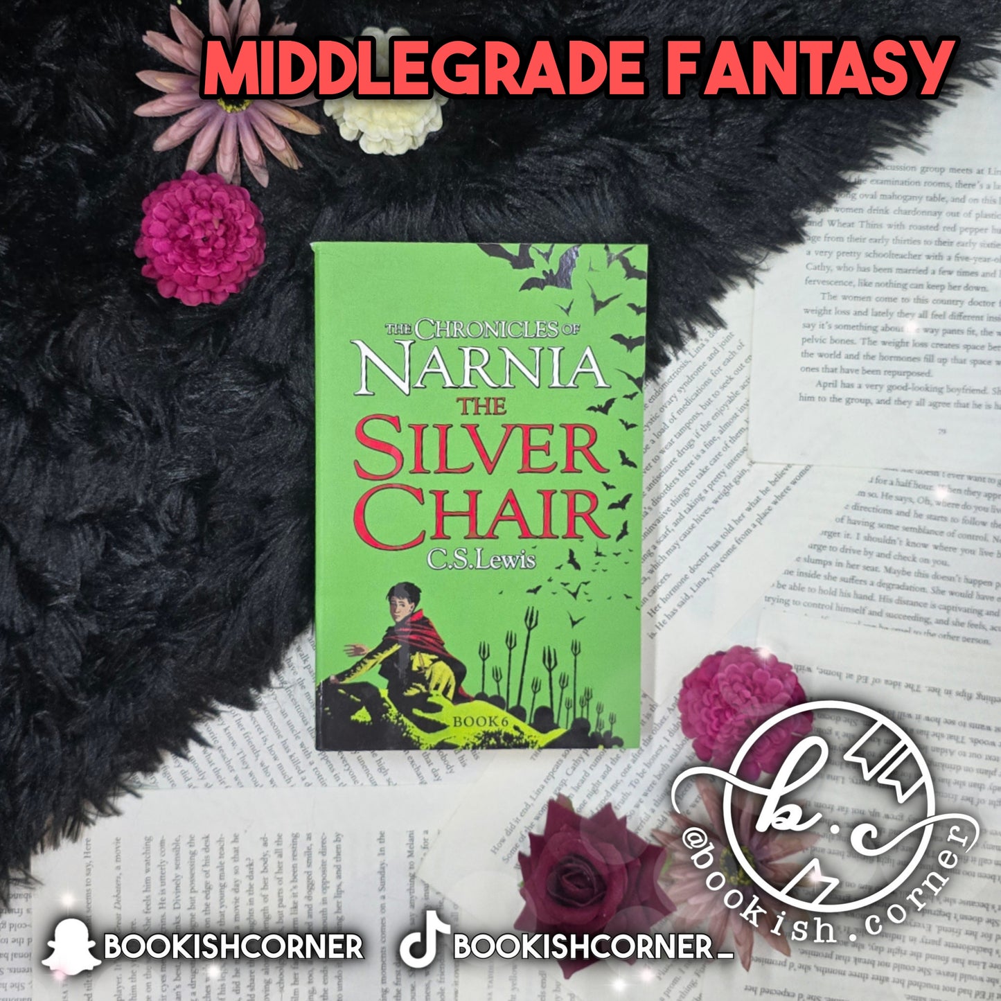 The Silver Chair By C S Lewis