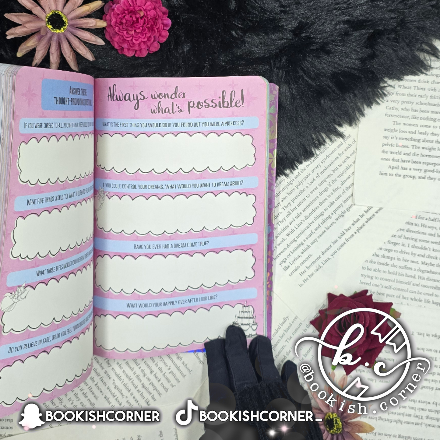 Disney Princess Dream Big