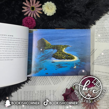 The New Earth From Above 365 Days