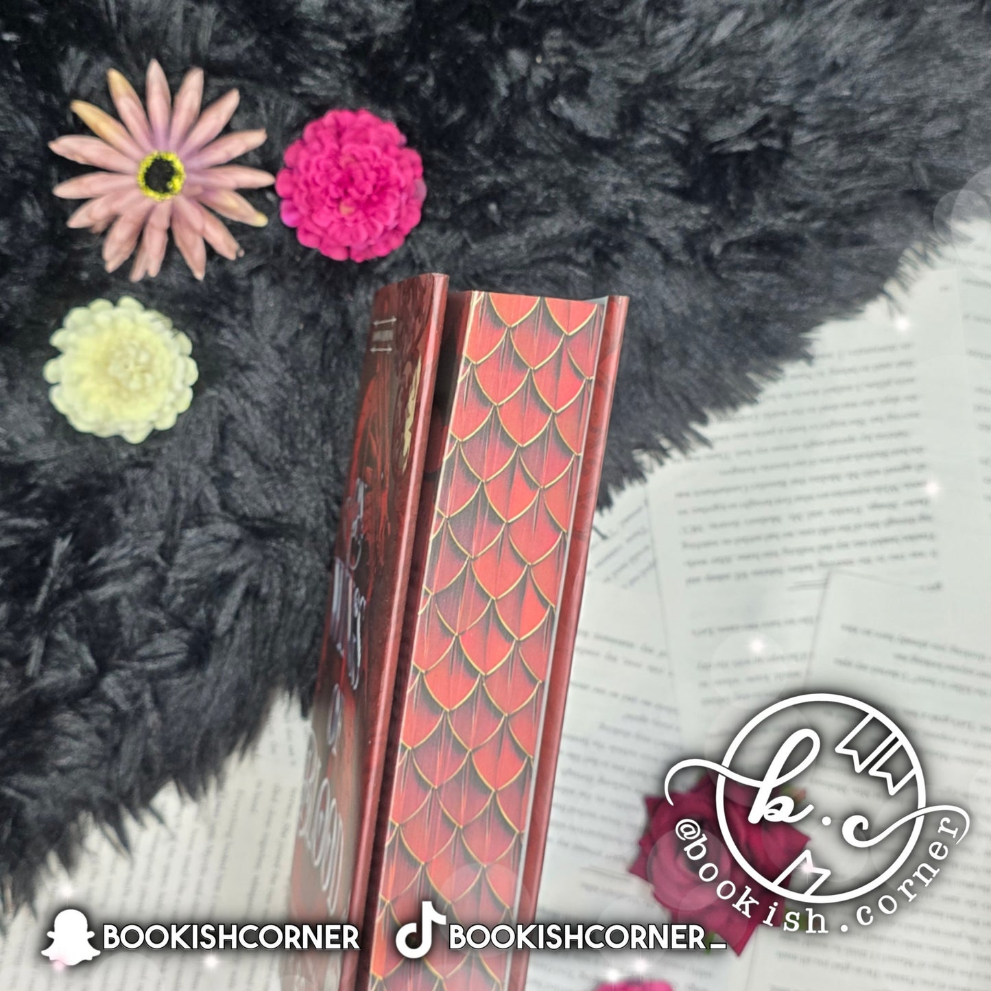 On Wings Of Blood By Briar Boleyn