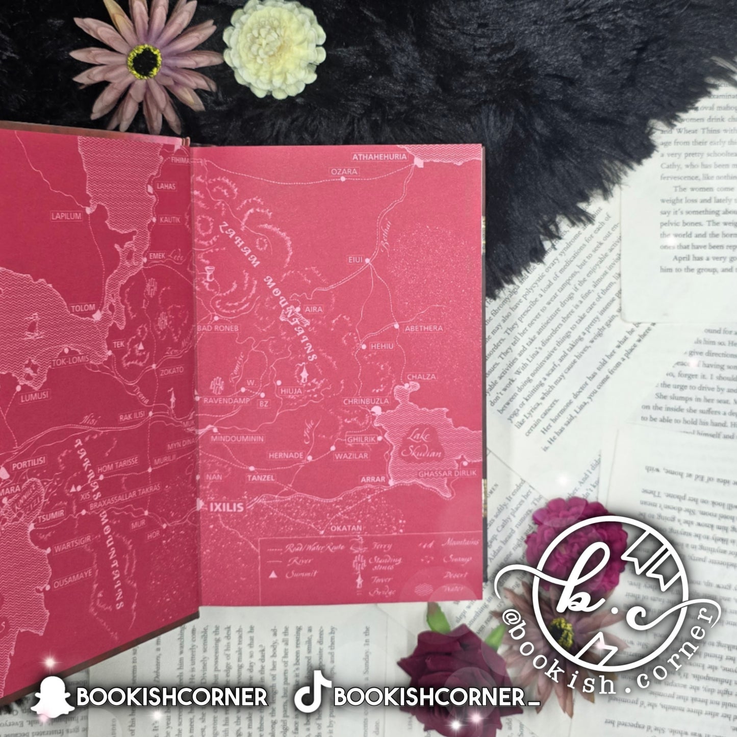 The Dream Merchant By Isabel Hoving