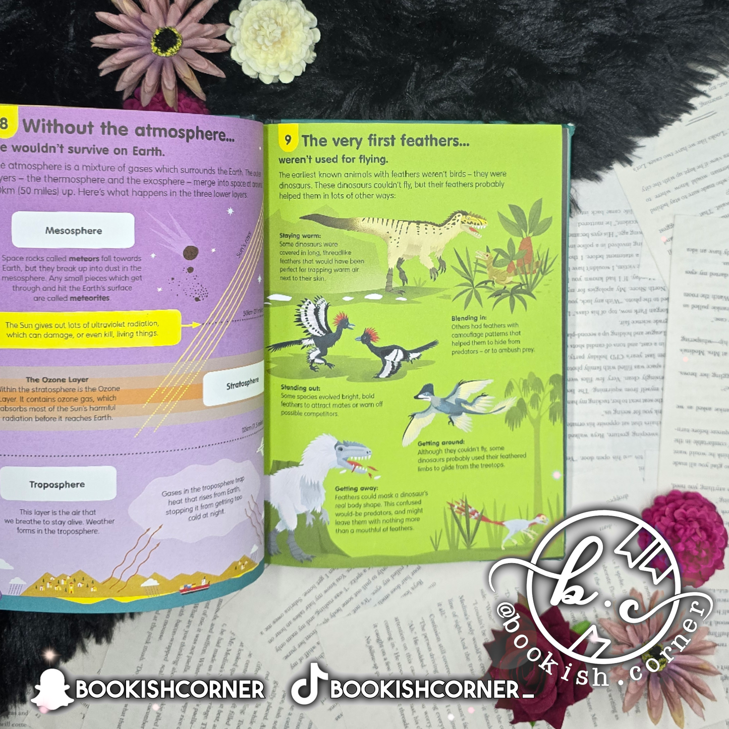 See Inside Science By Alex Frith