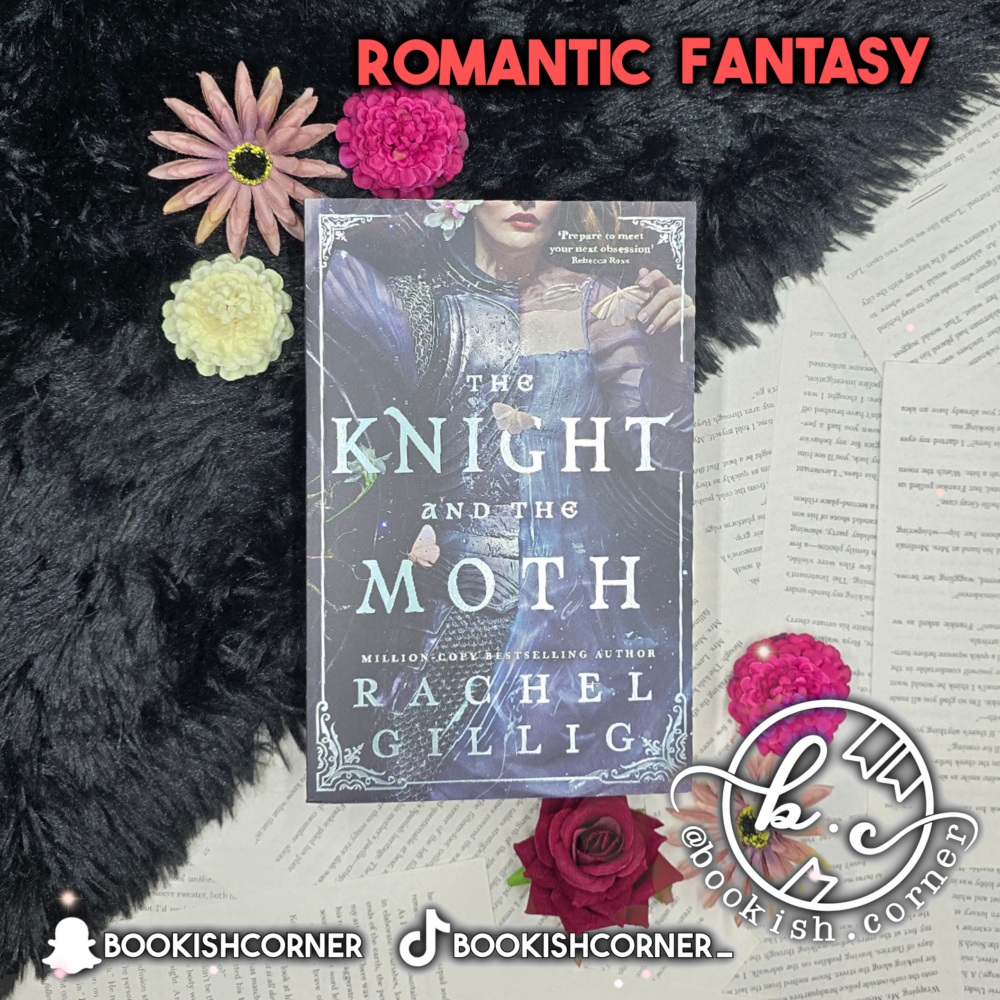 The Knight and the Moth By Rachel Gillig