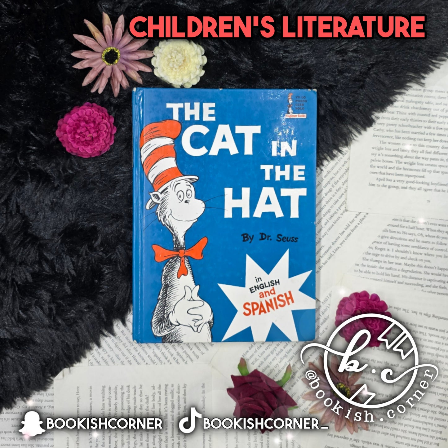 The Cat In The Hat By Seuss
