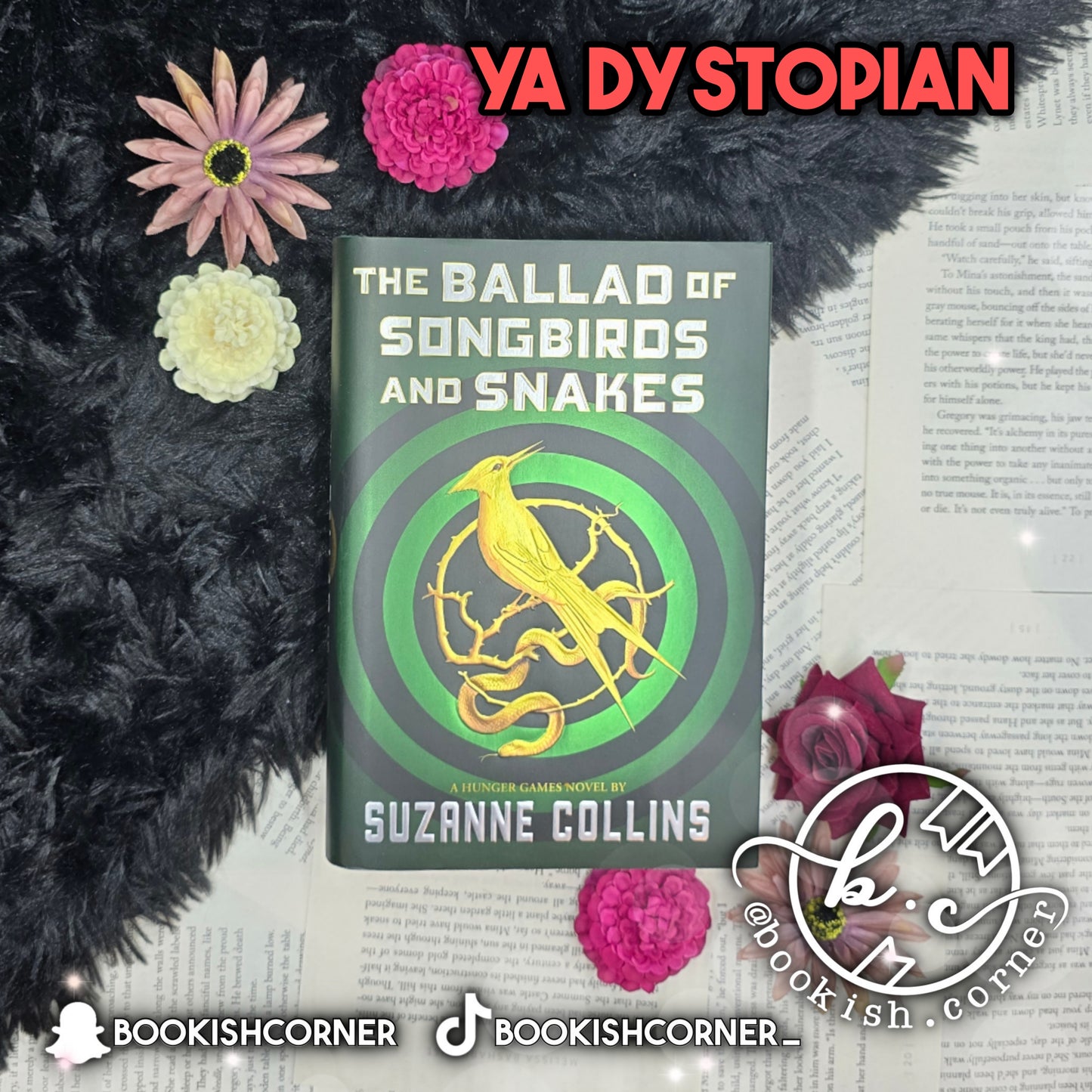 The Ballad of Songbirds and Snakes By Suzanne Collins