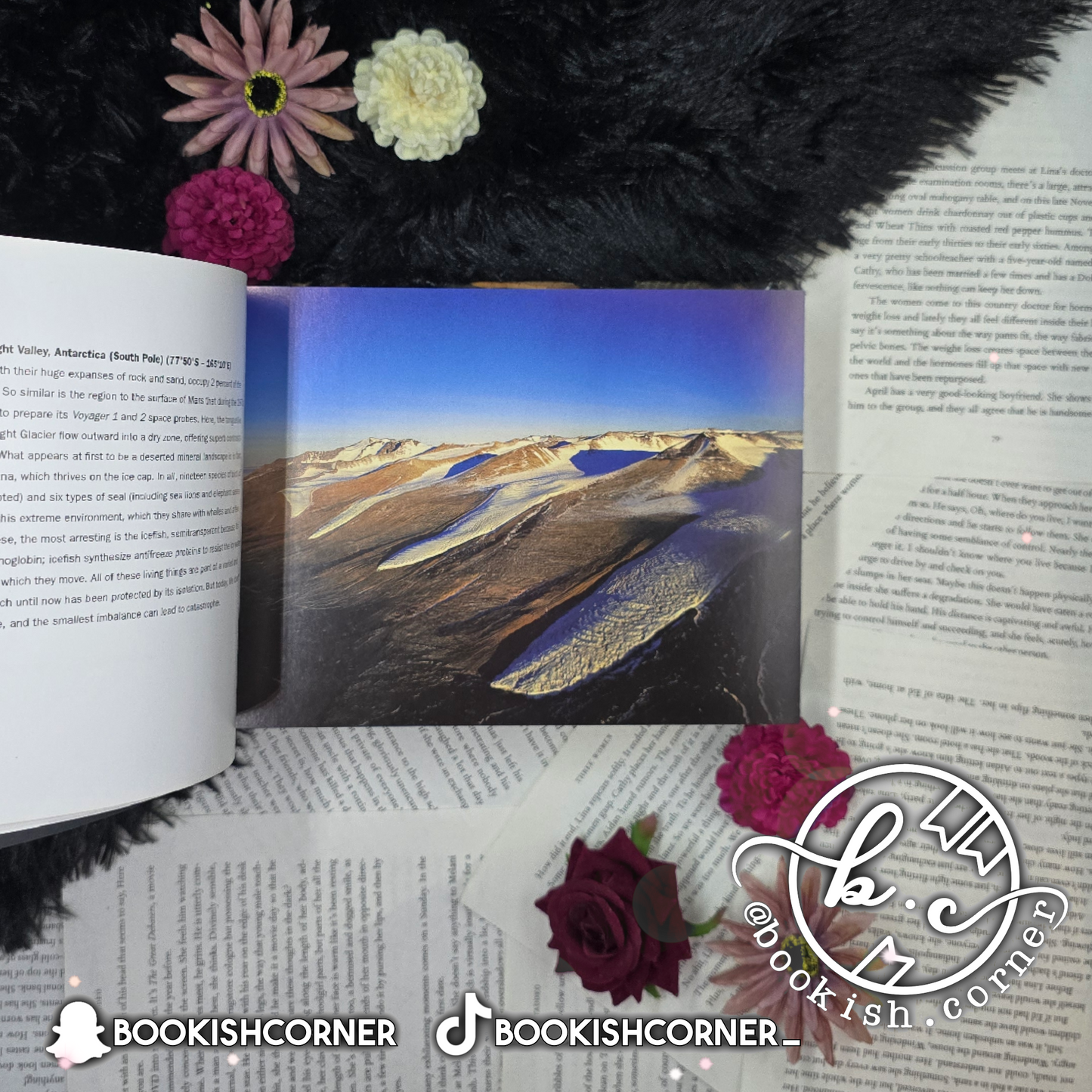 The New Earth From Above 365 Days By Yann Arthus Bertrand