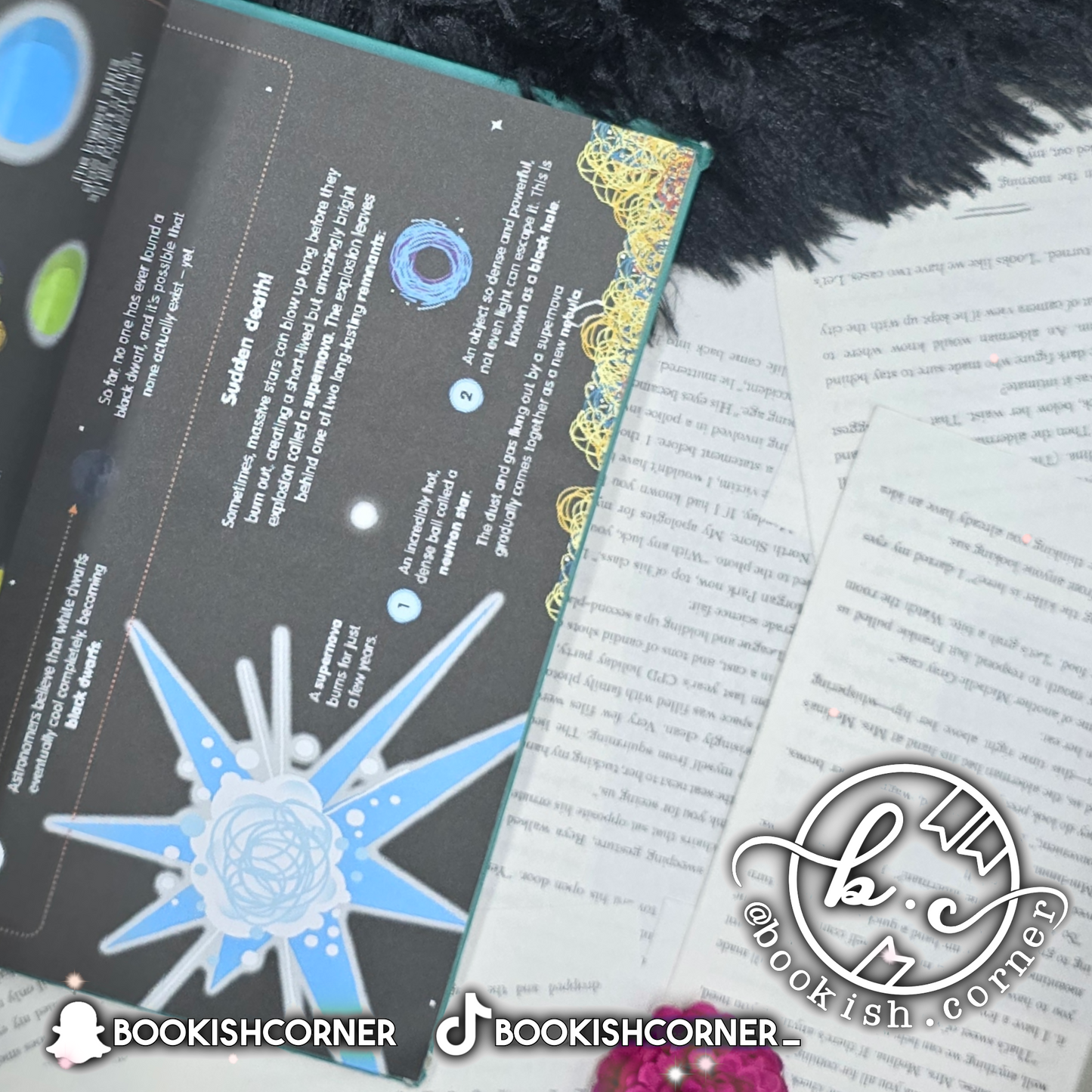 See Inside Science By Alex Frith