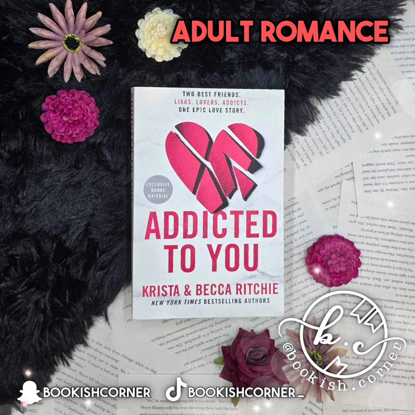 Addicted to You By Krista Ritchie, Becca Ritchie