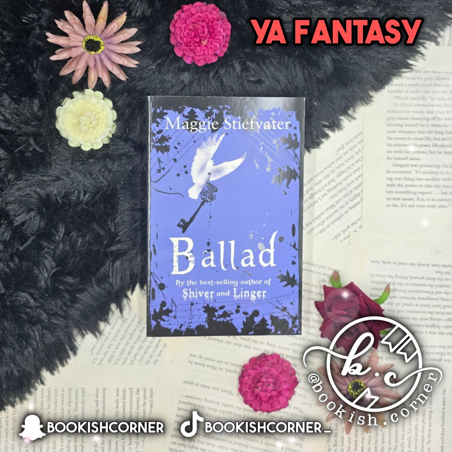 Ballad By Maggie Stiefvater