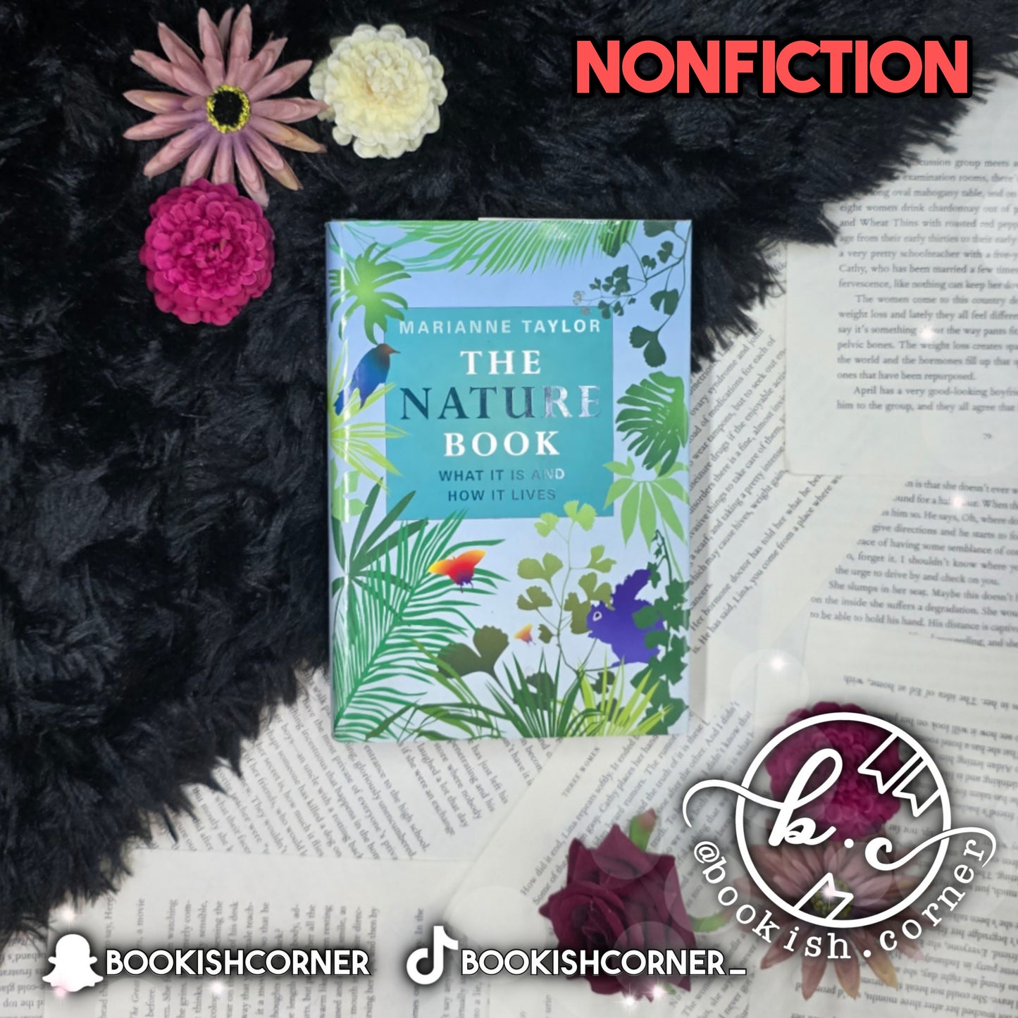 The Nature Book By Marianne Taylor