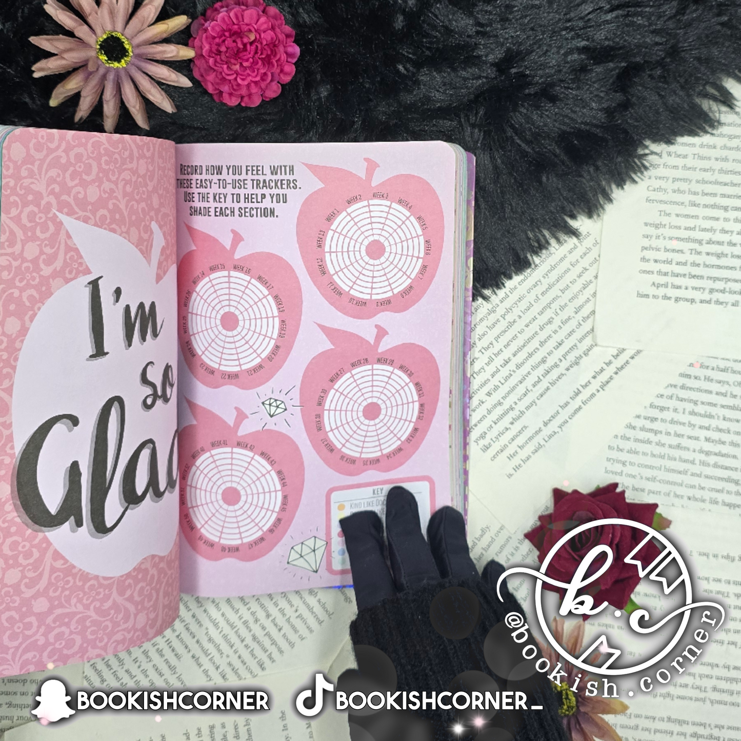 Disney Princess Dream Big