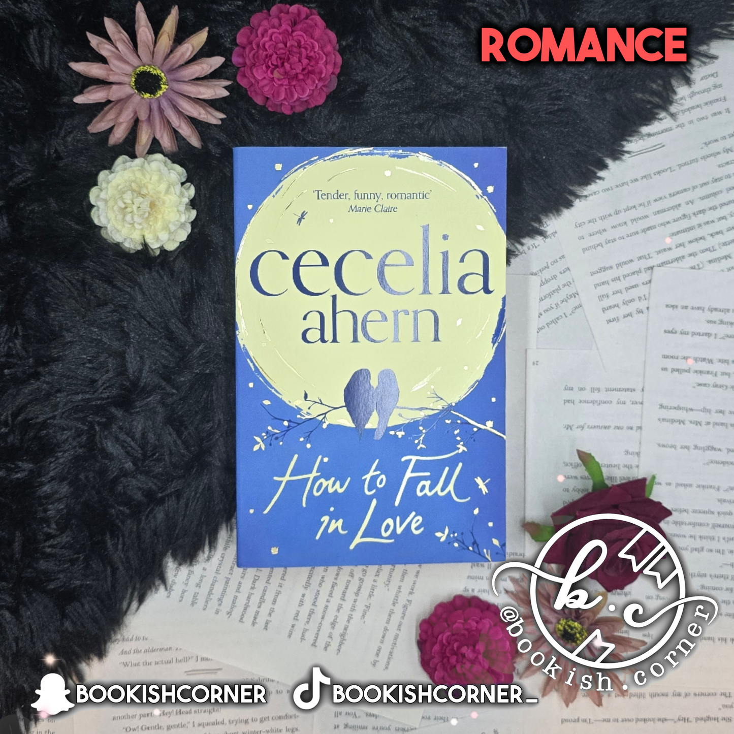 How to Fall in Love By Cecelia Ahern