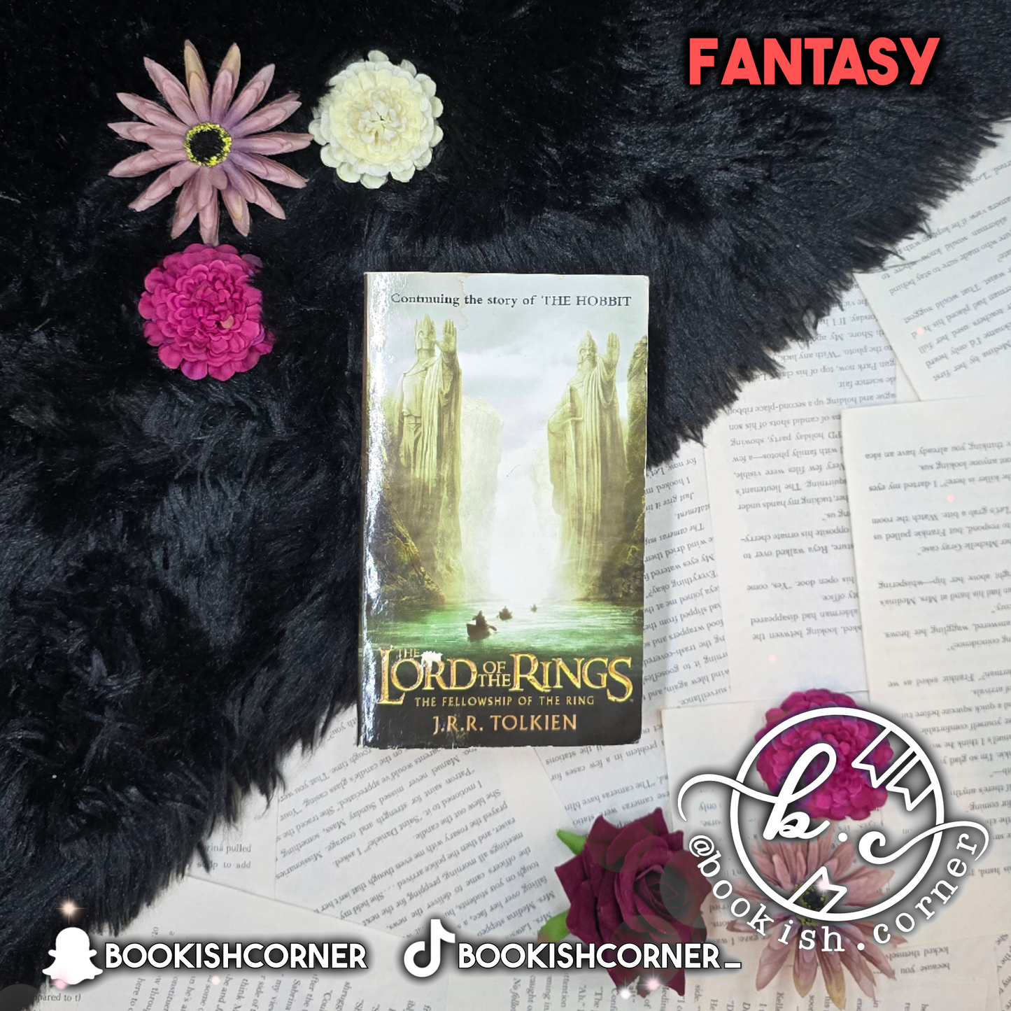 The Fellowship of the Ring By J R R Tolkien