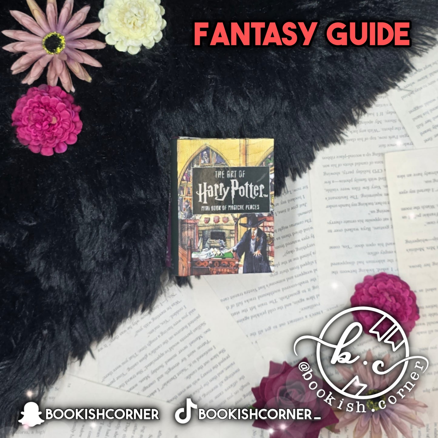 The Art of Harry Potter : Mini Book of Magical Places