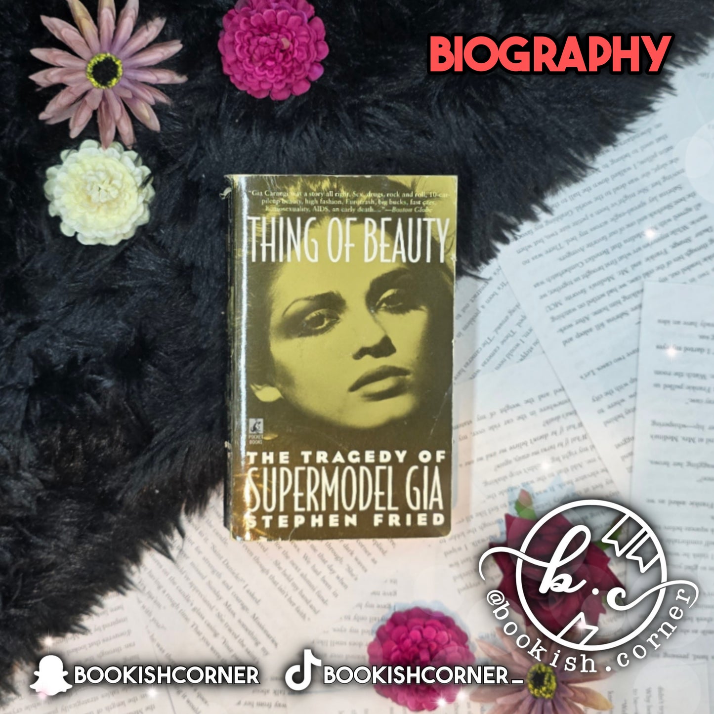 Thing Of Beauty By Stephen Fried