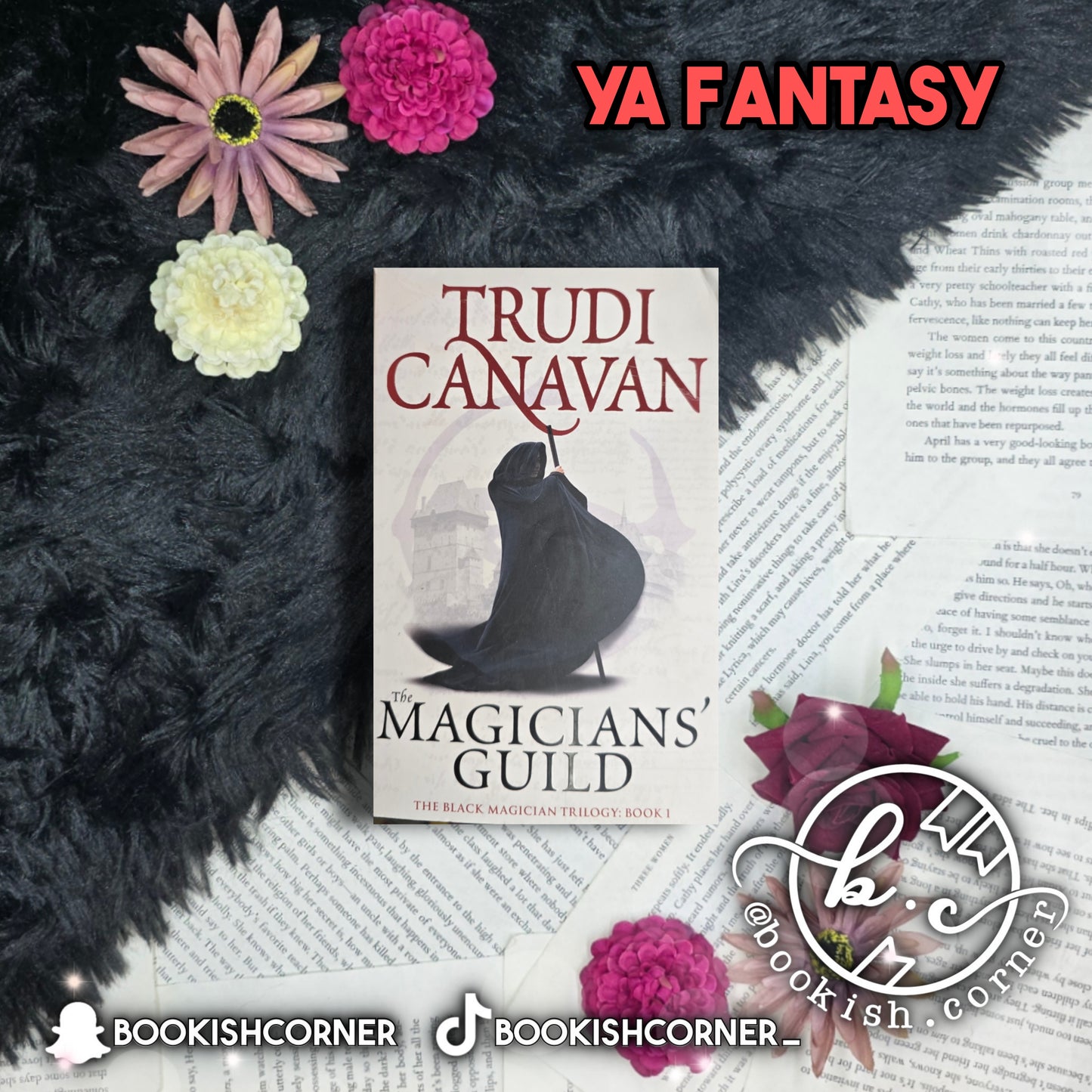 The Magicians' Guild By Trudi Canavan