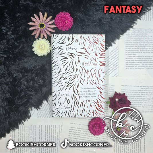 Little Nothing By Marisa Silver