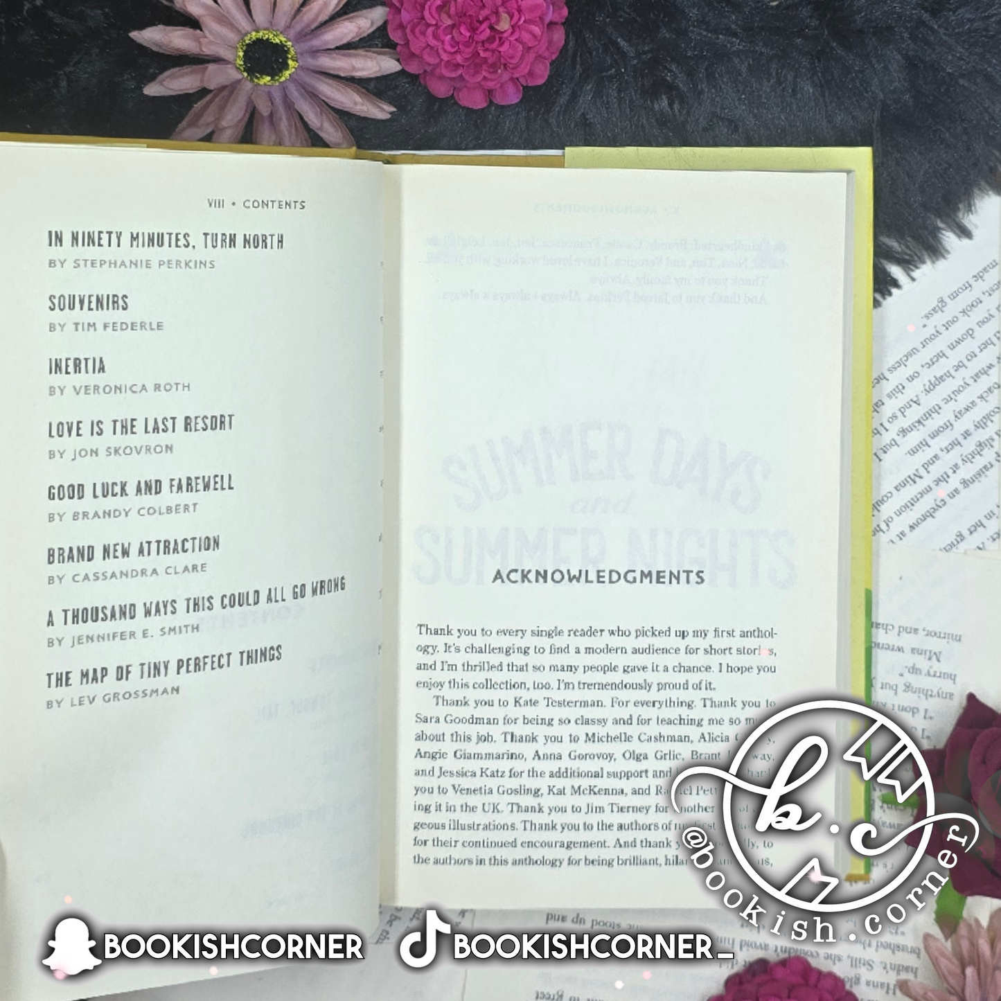 Summer Days and Summer Nights By Leigh Bardugo, Cassandra Clare and others