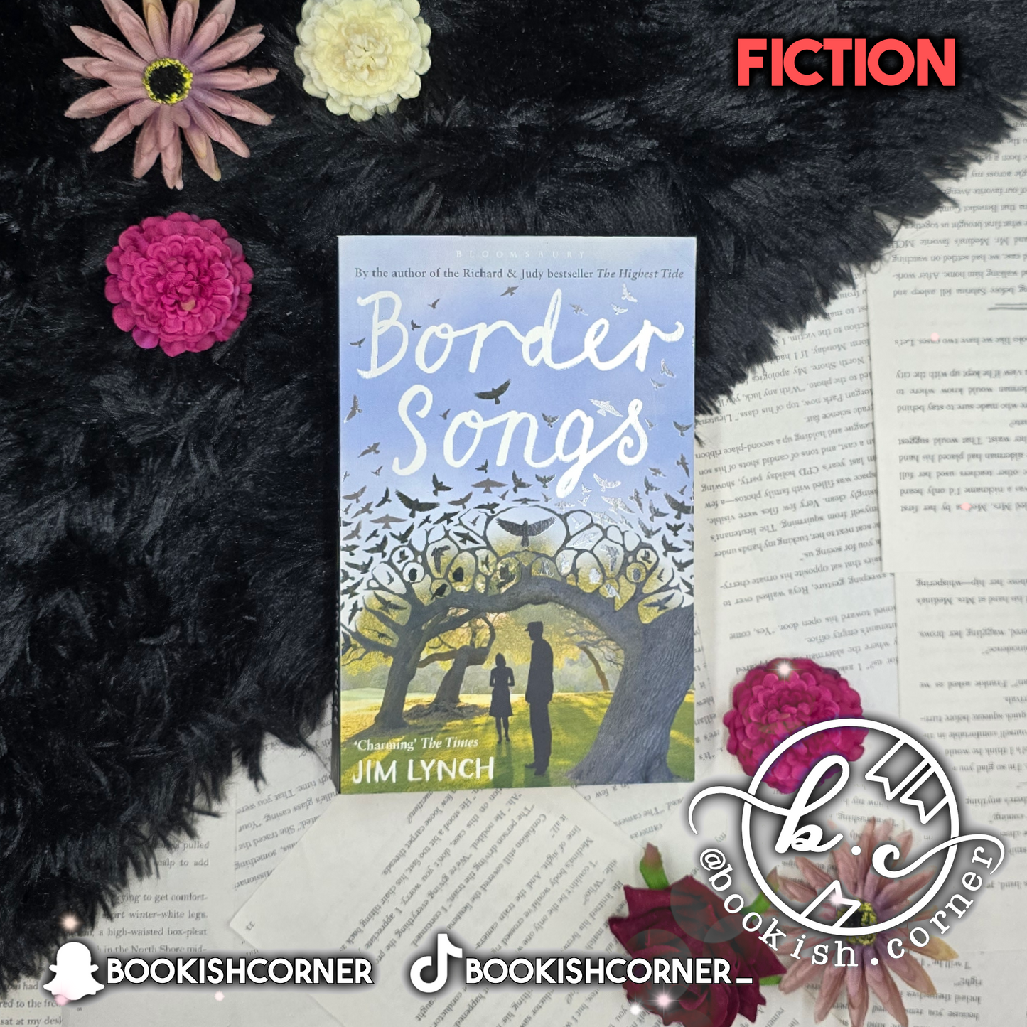 Border Songs By Jim Lynch