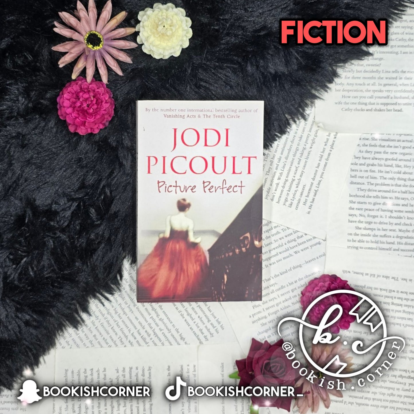 Picture Perfect By Jodi Picoult