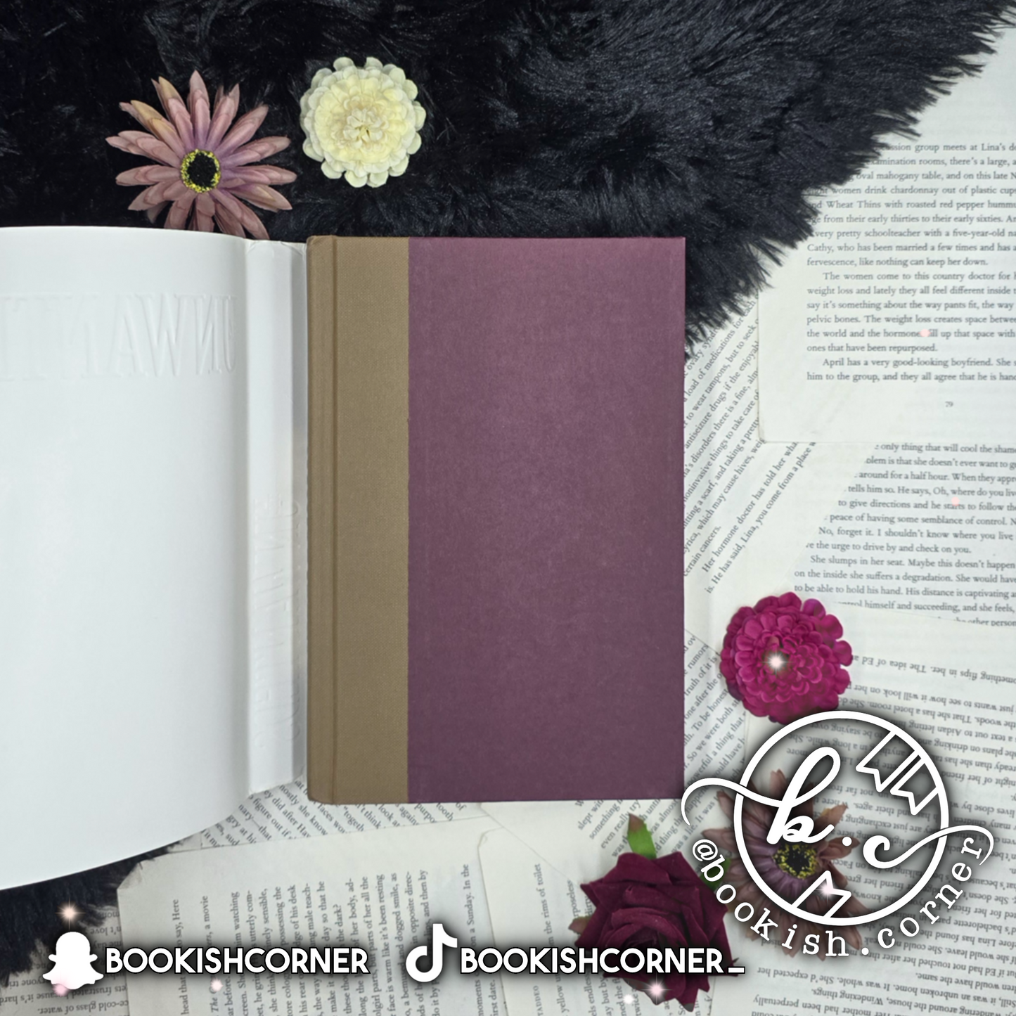 The Unwanteds By Lisa Mcmann