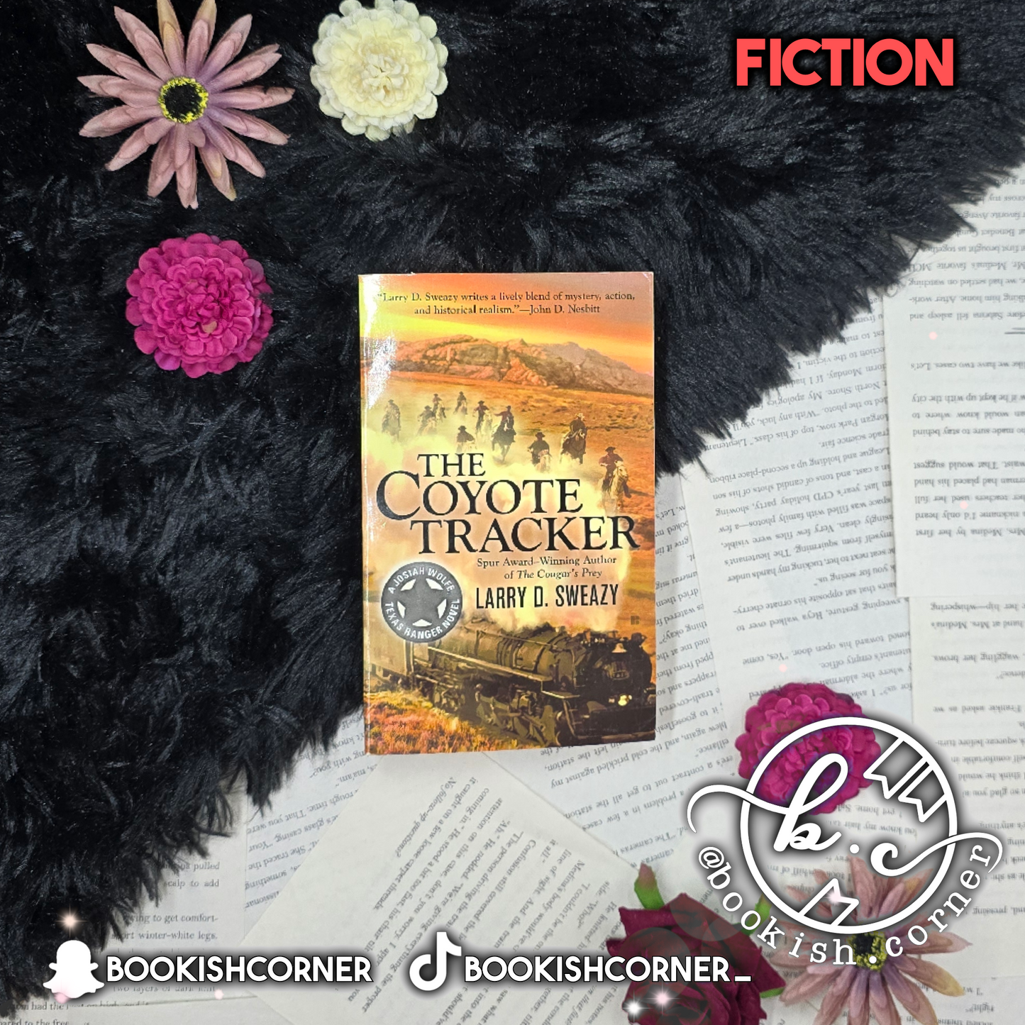 The Coyote Tracker By Larry By D Sweazy