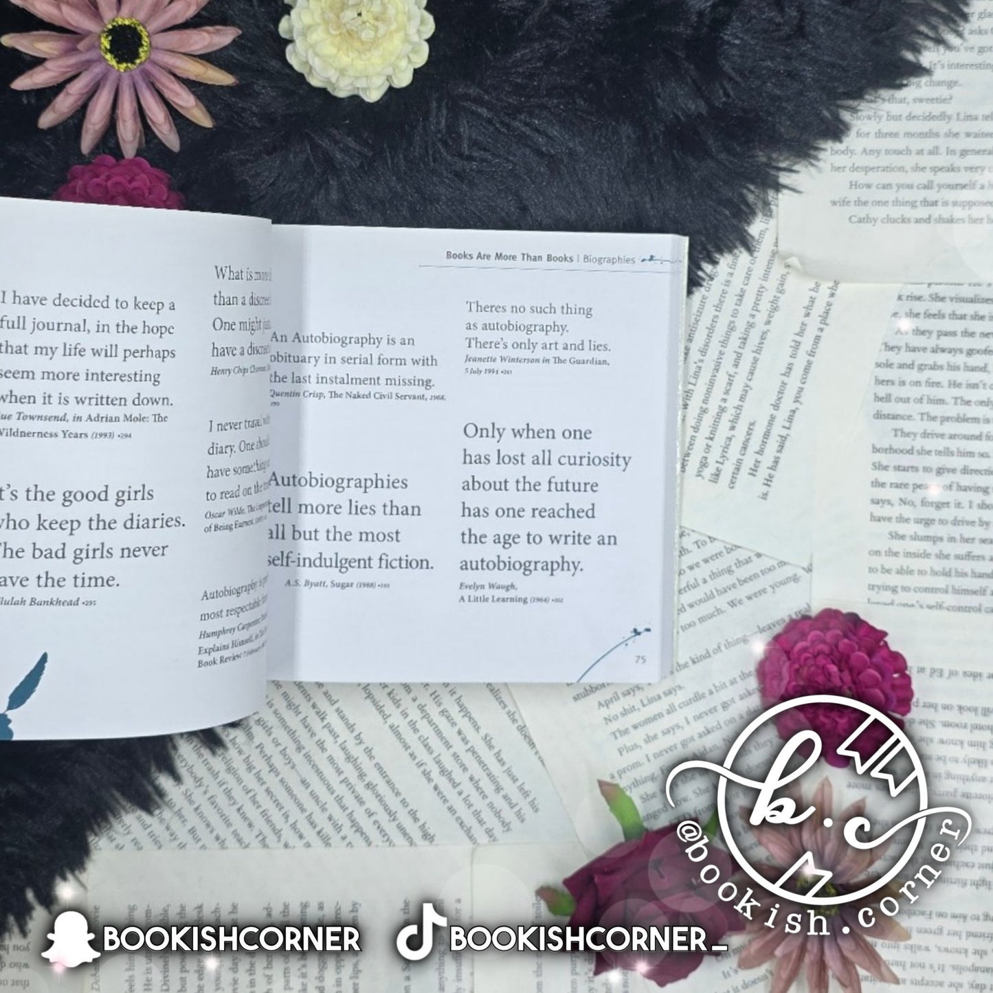 The Wit And Wisdom Of Literary Greats By Nick Holt