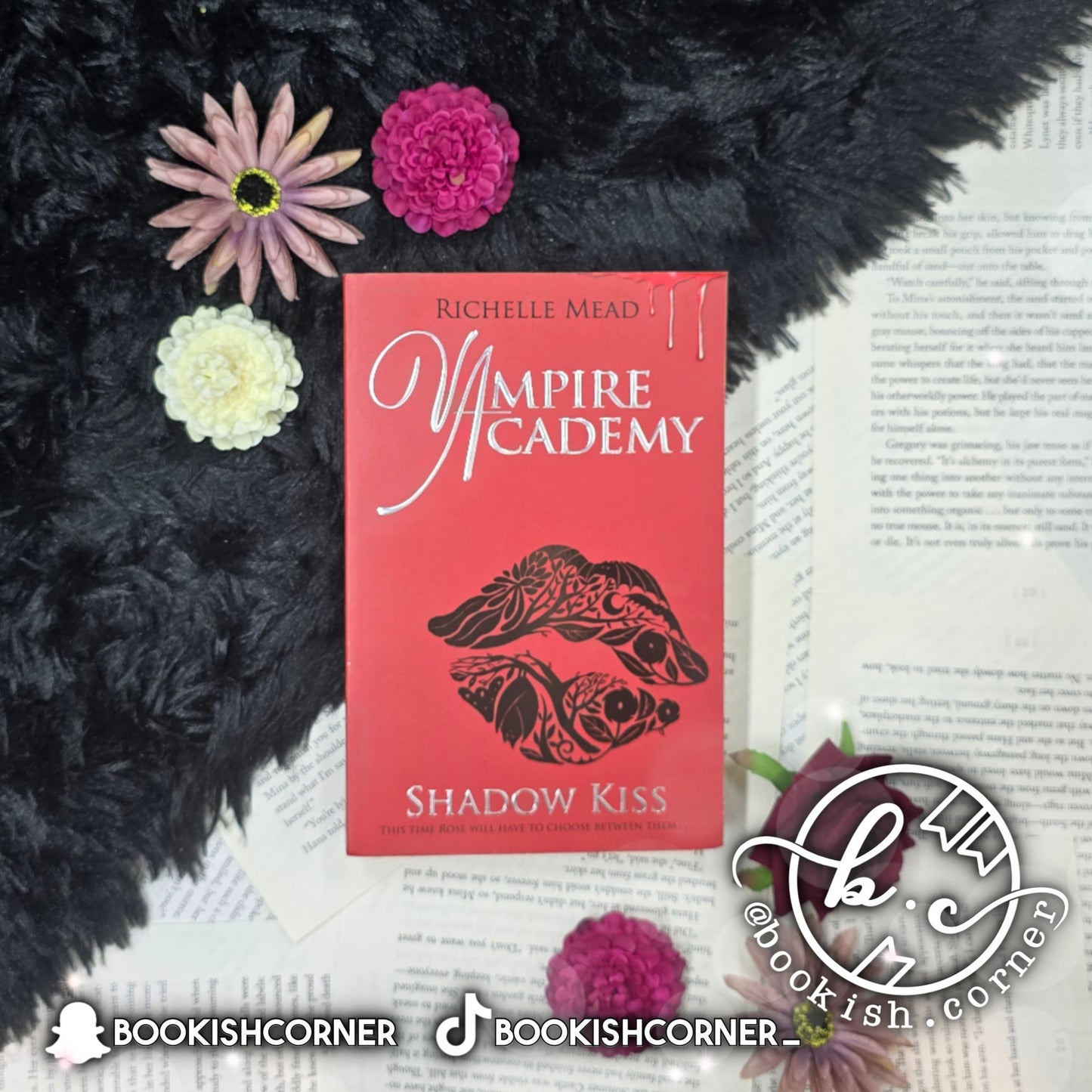 Vampire Academy Books By Richelle Mead