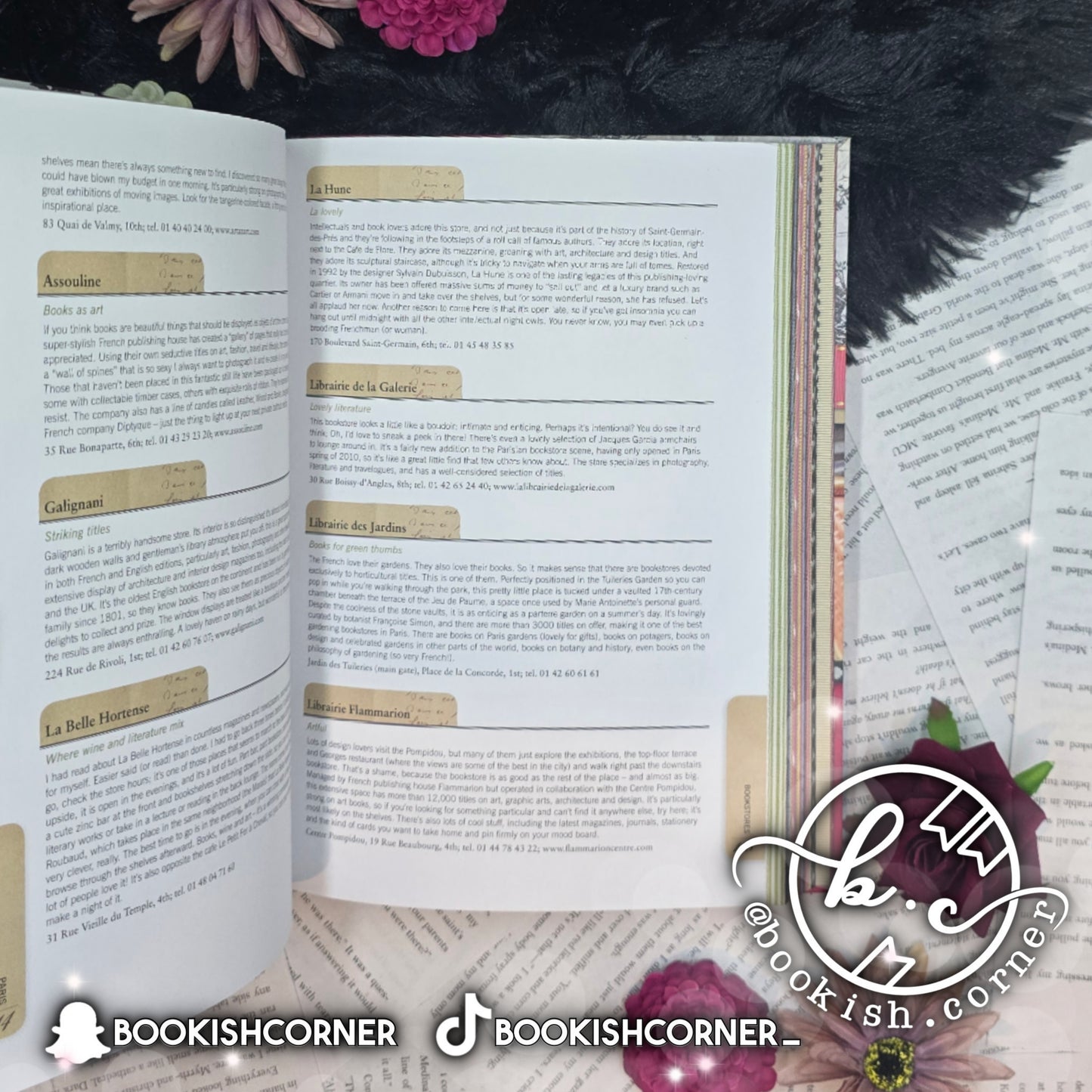 Paris By Janelle Mcculloch