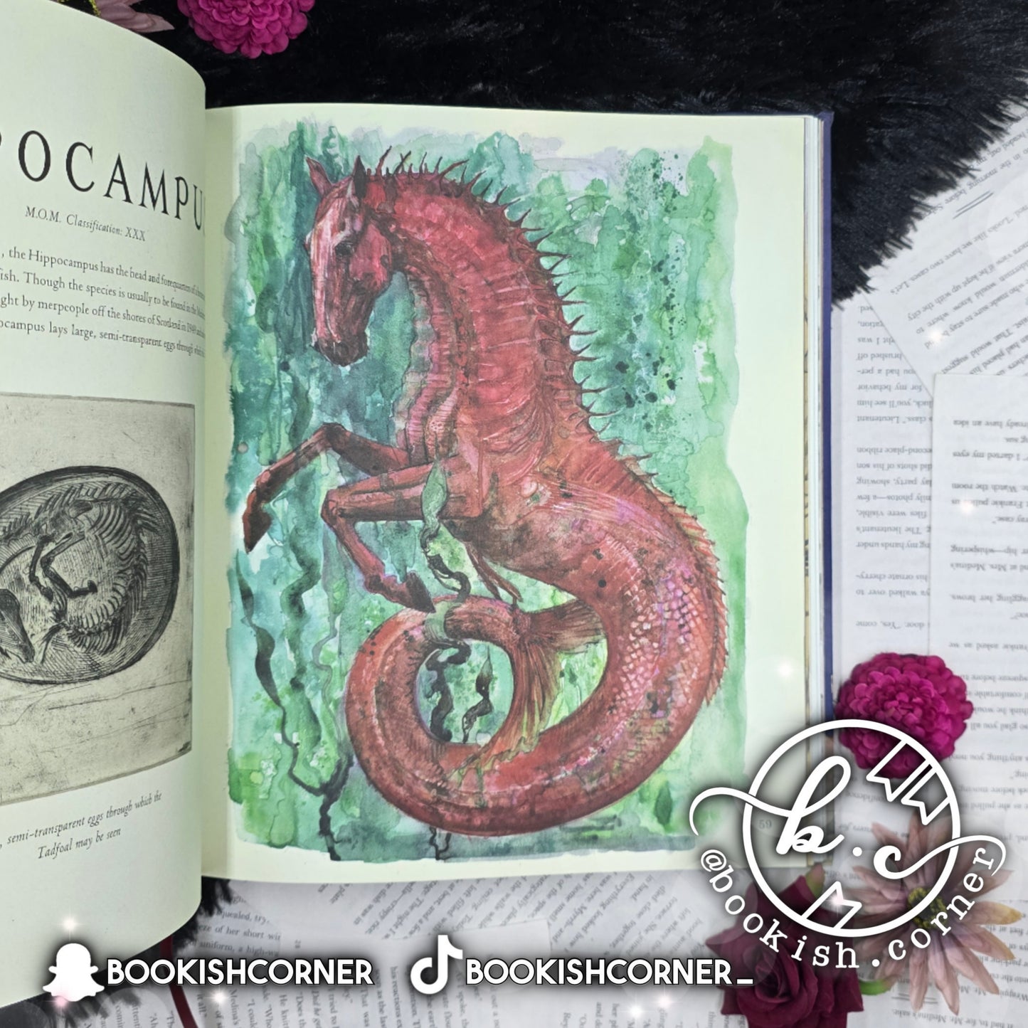 Fantastic Beasts and Where to Find Them - Illustrated Version By J K Rowling