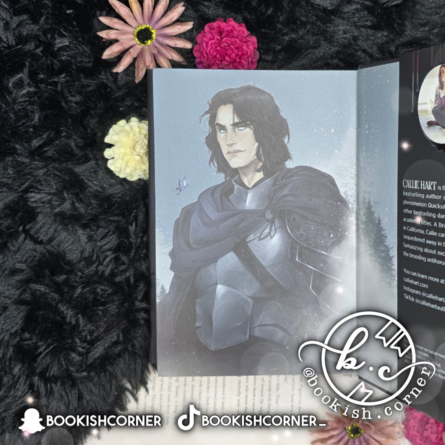 Quicksilver By Callie Hart