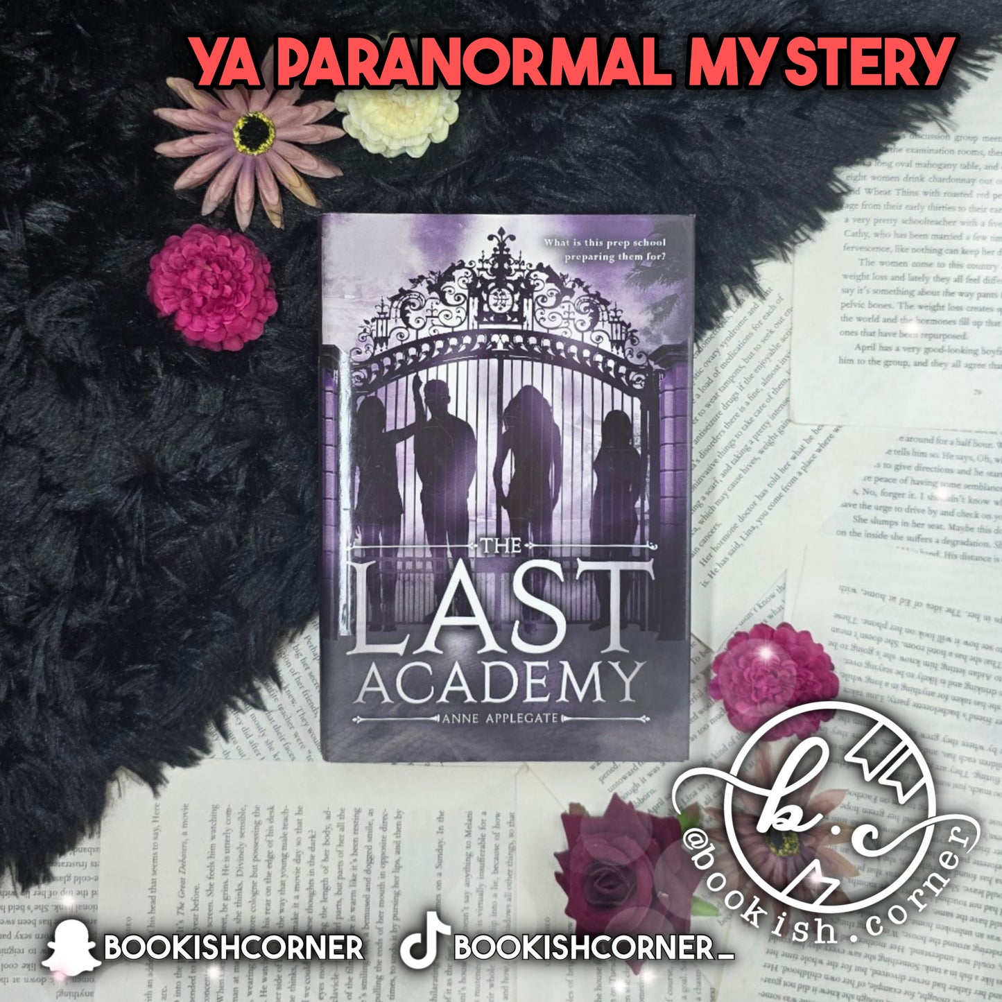 The Last Academy By Anne Applegate