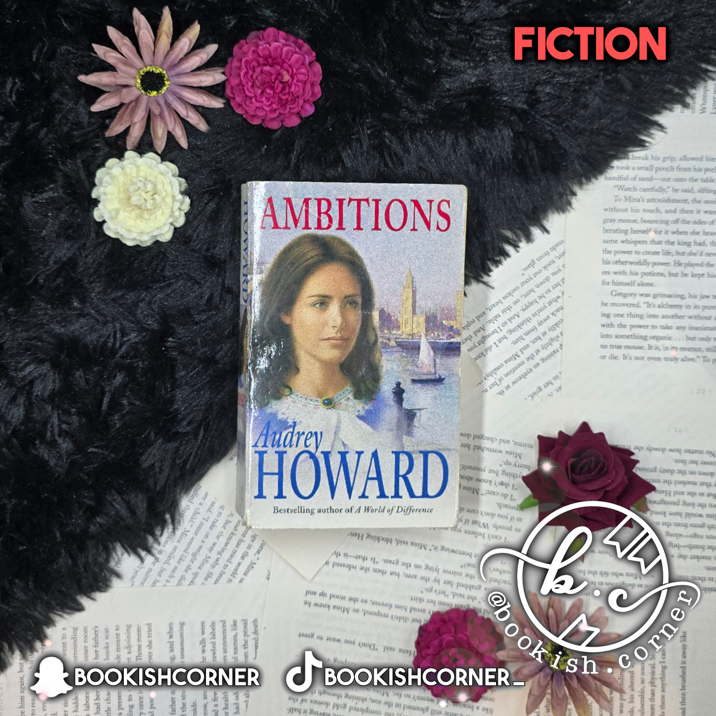 Ambitions By Audrey Howard