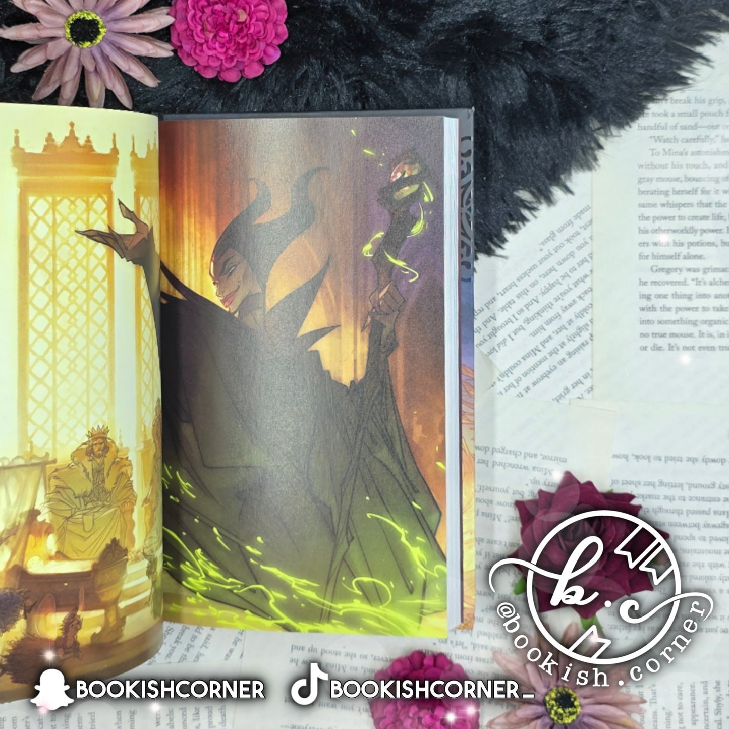 The Curse of Maleficent: The Tale of a Sleeping Beauty