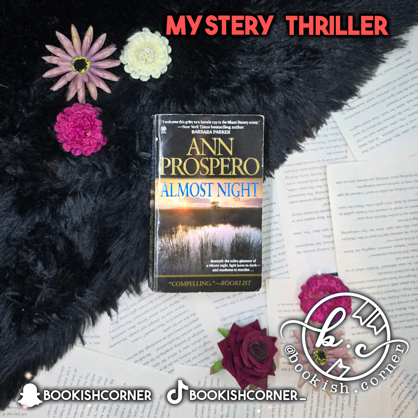 Almost Night By Ann Prospero