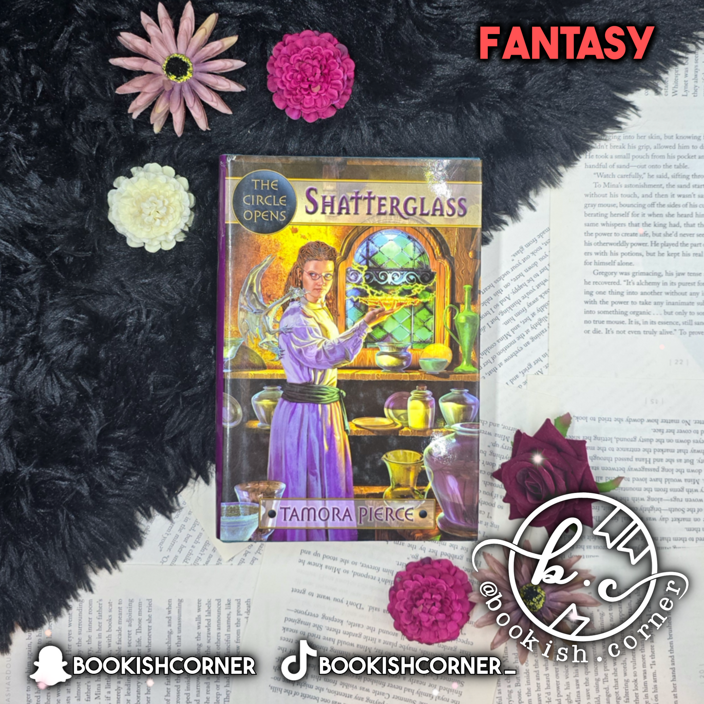 Magic Steps By Tamora Pierce