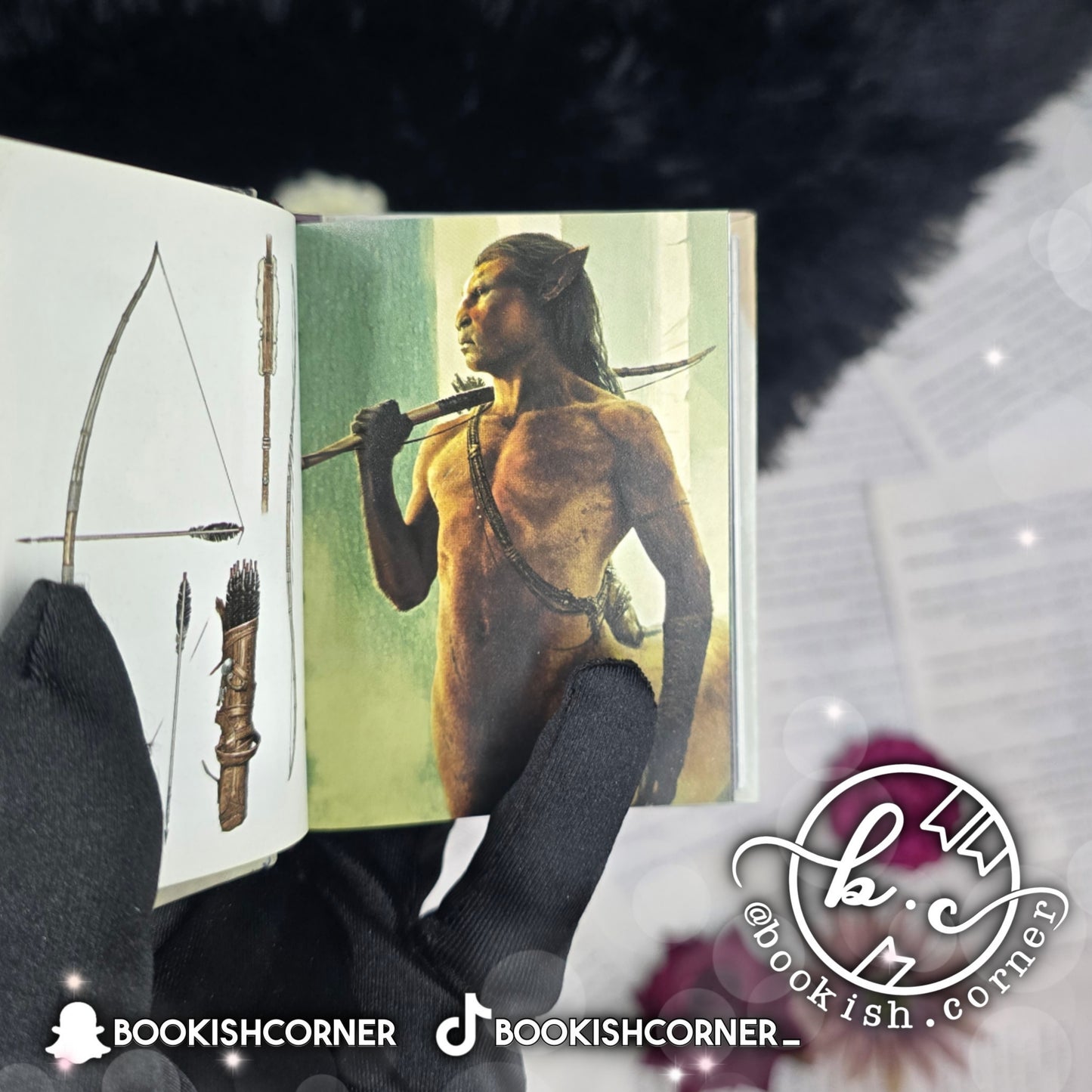 The Art of Harry Potter : Mini Book of Creatures