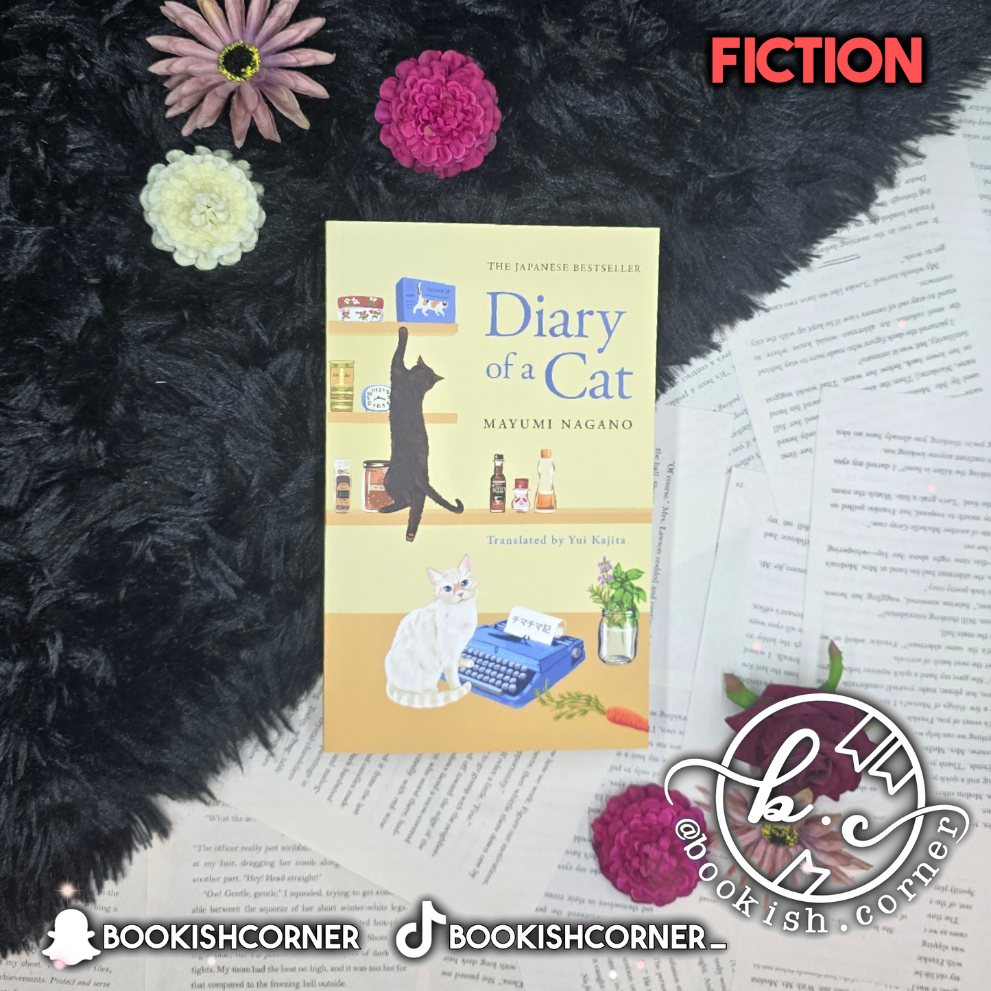 Diary Of A Cat By Mayumi Nagano