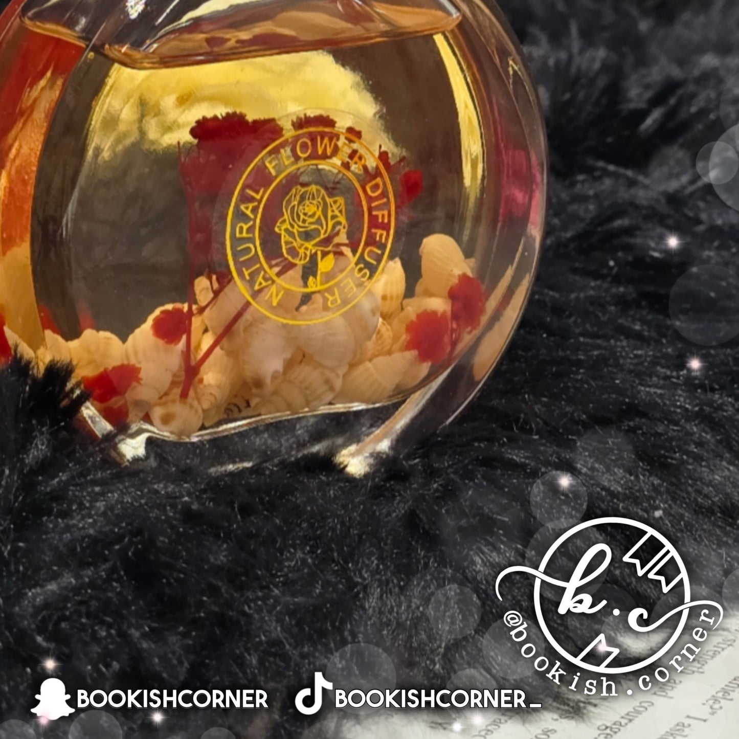 Seashells Scent Diffuser : Fig