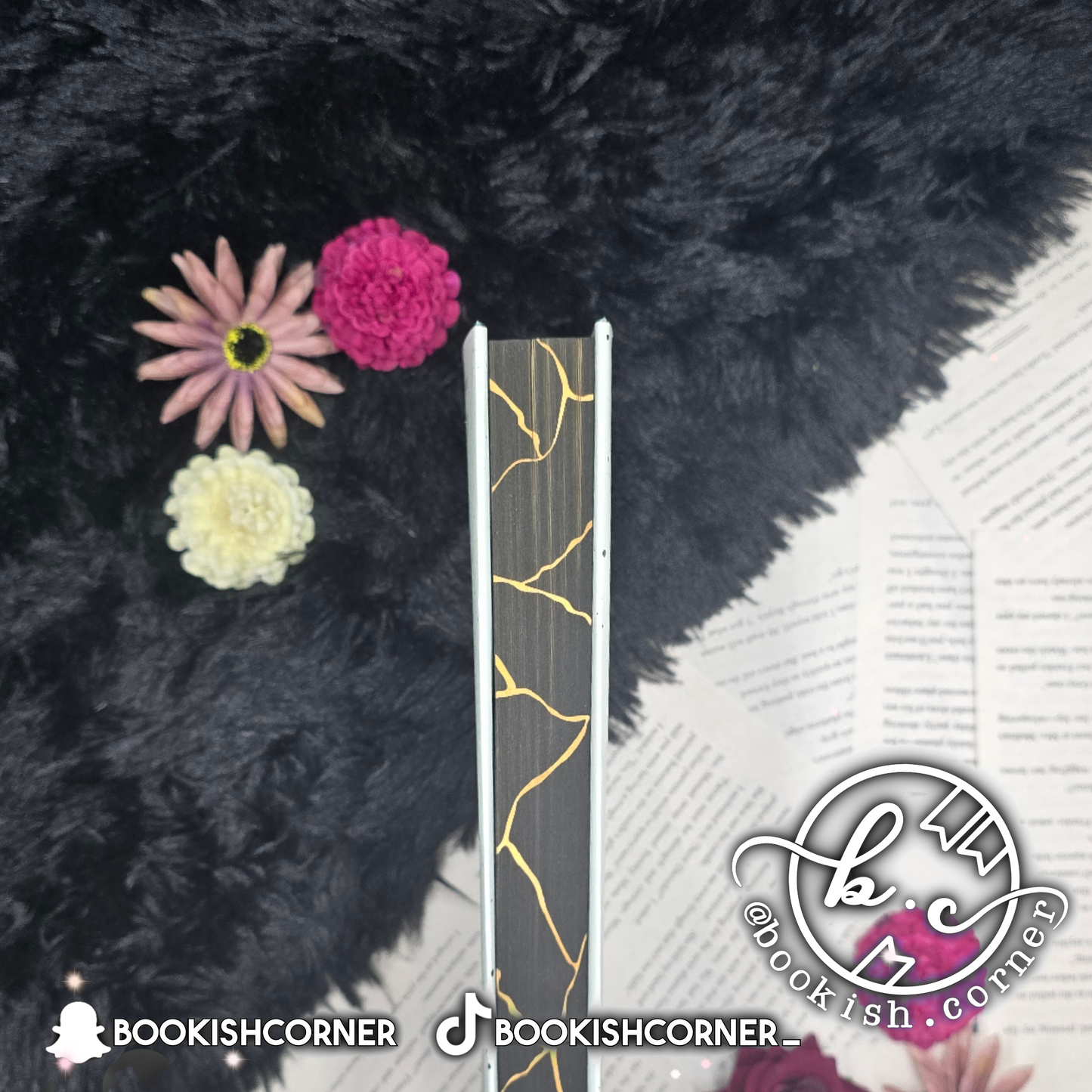 I, Medusa By Ayana Gray