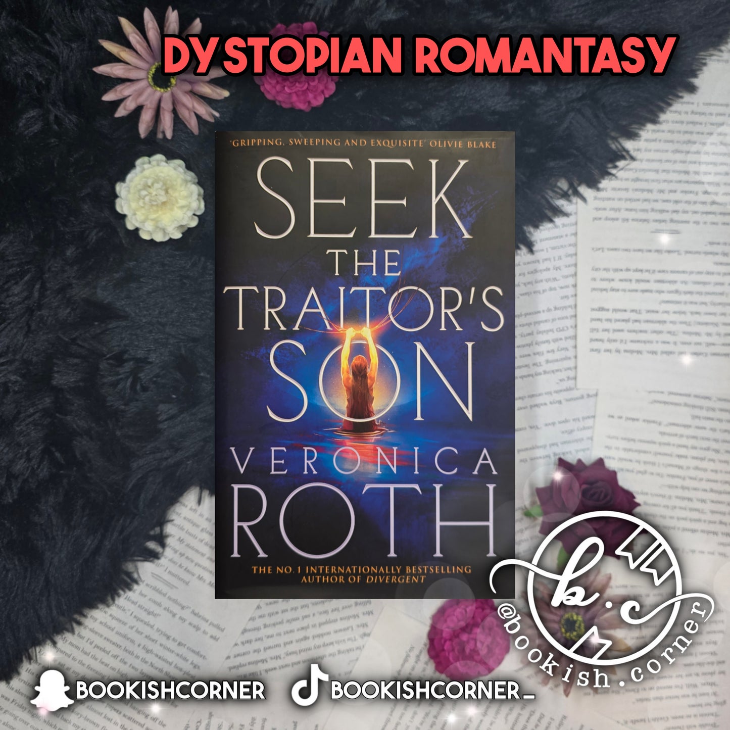 Seek the Traitor's Son By Veronica Roth