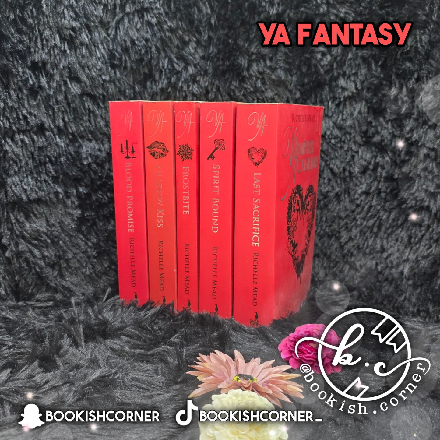 Vampire Academy Books By Richelle Mead