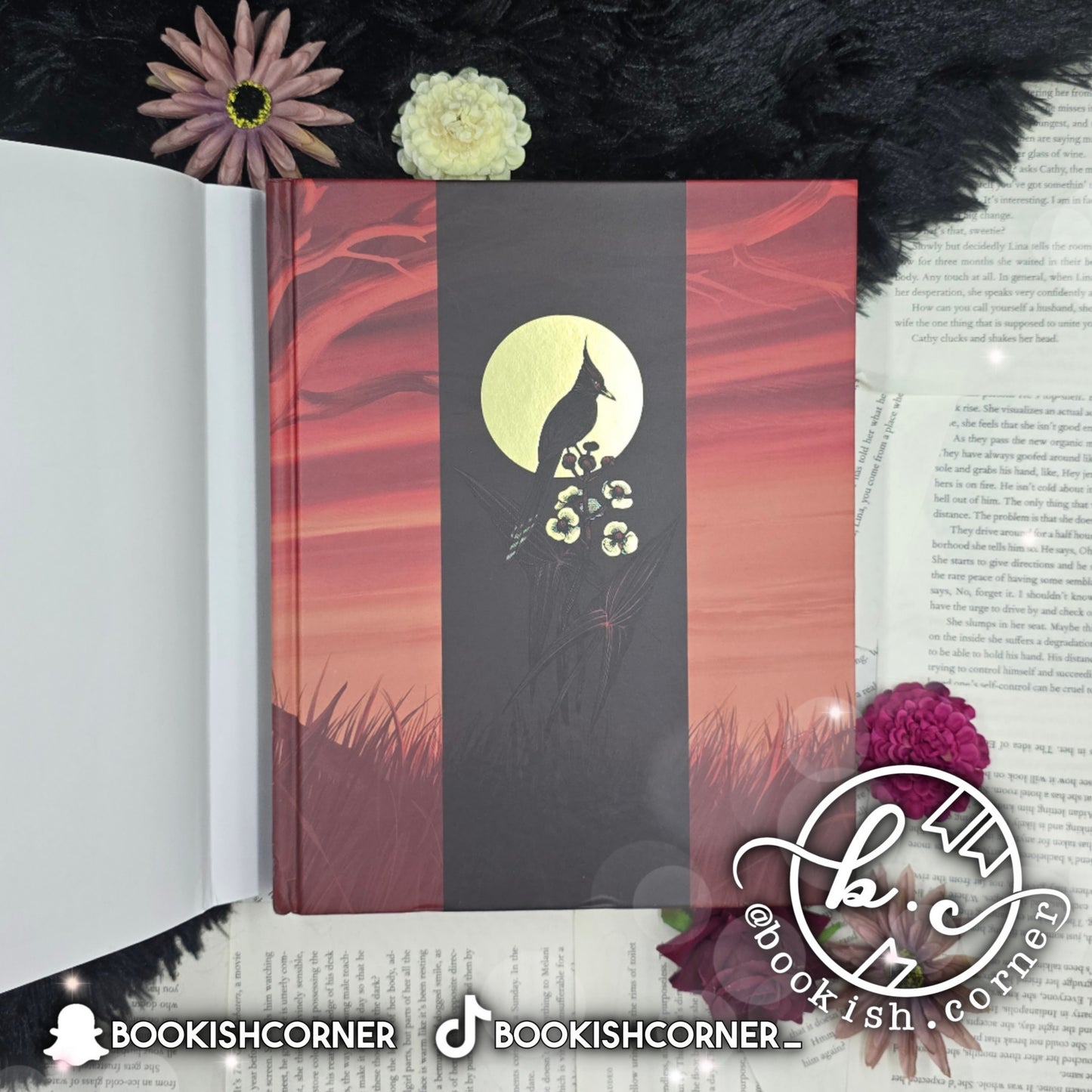 The Hunger Games : Illustrated Edition By Suzanne Collins , Nico Delort