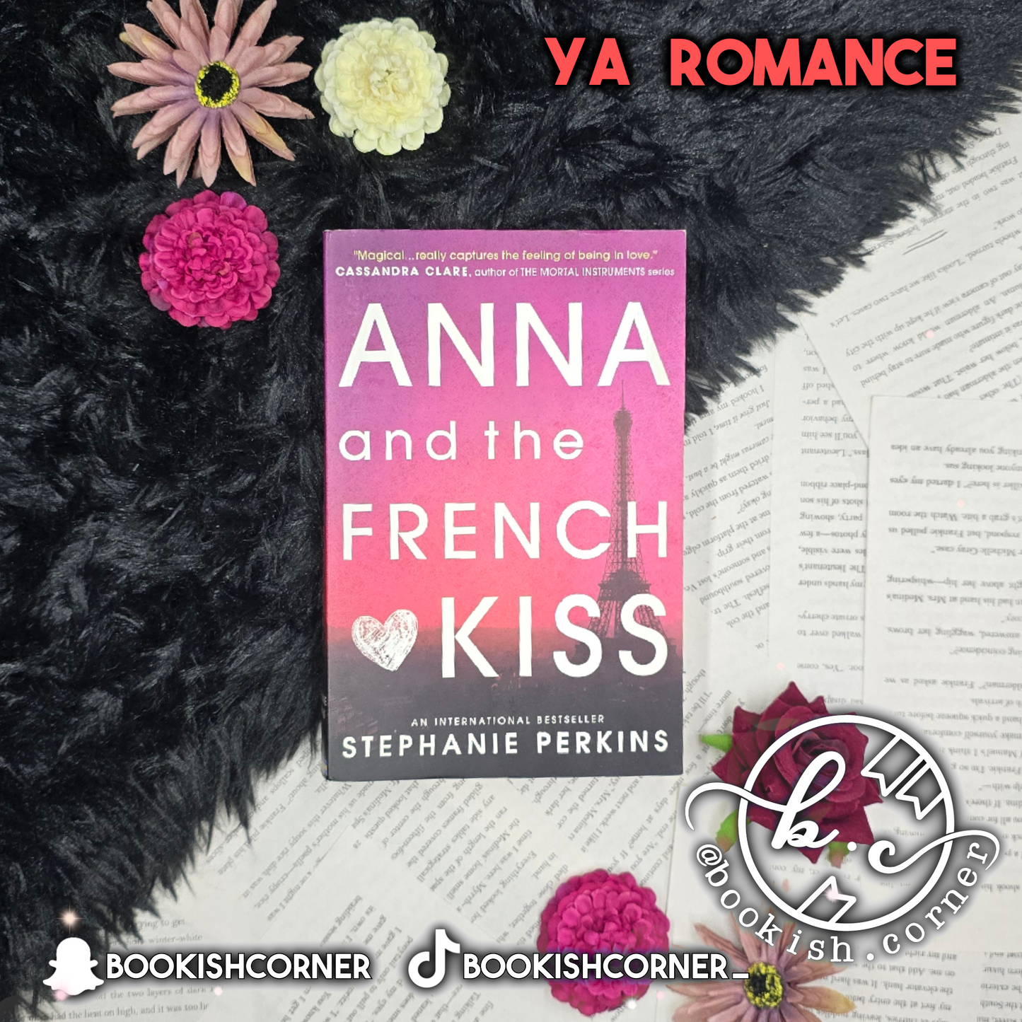 Anna and the French Kiss By Stephanie Perkins