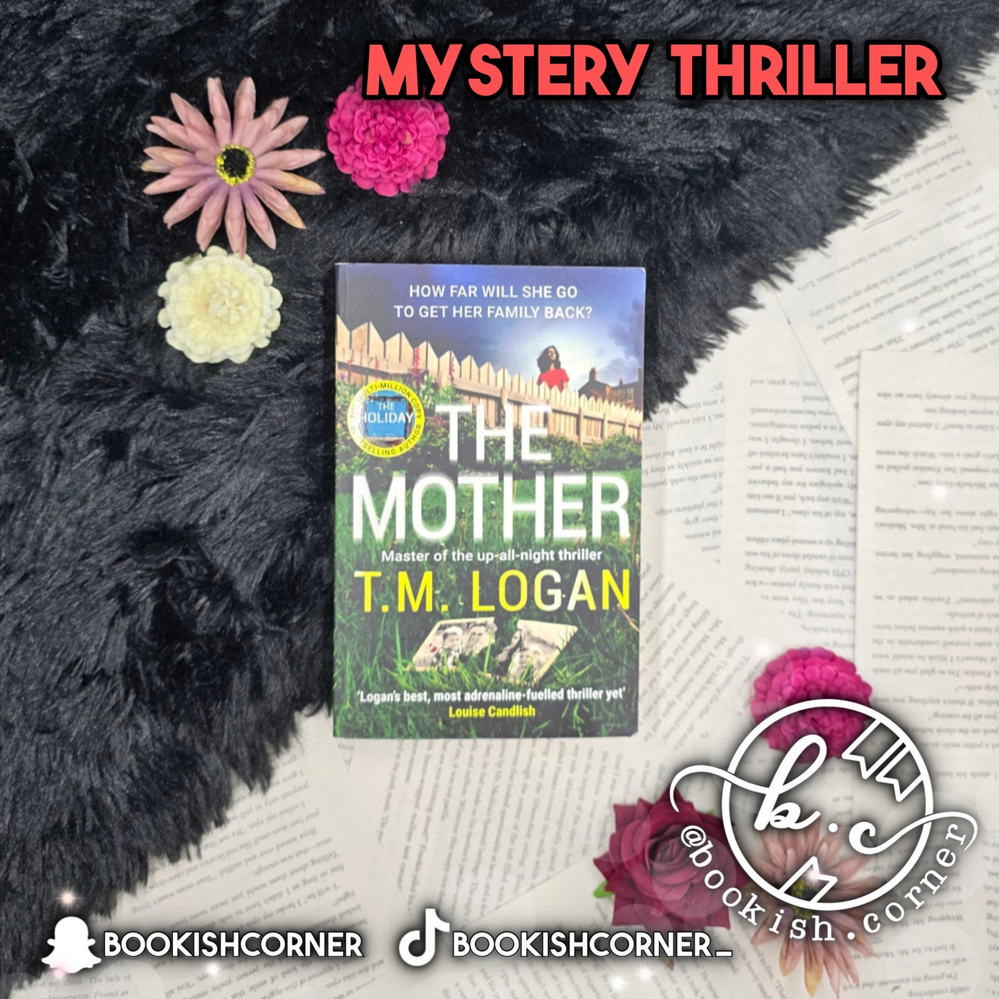 The Mother By T M Logan
