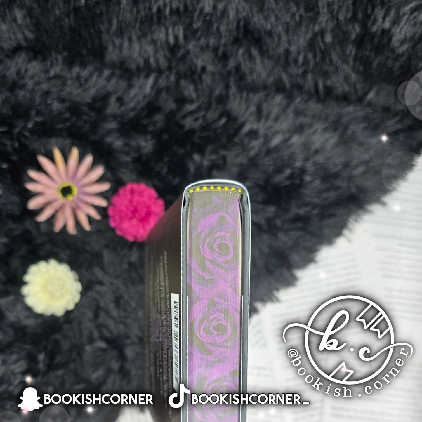 Never The Roses By Jennifer Lambert