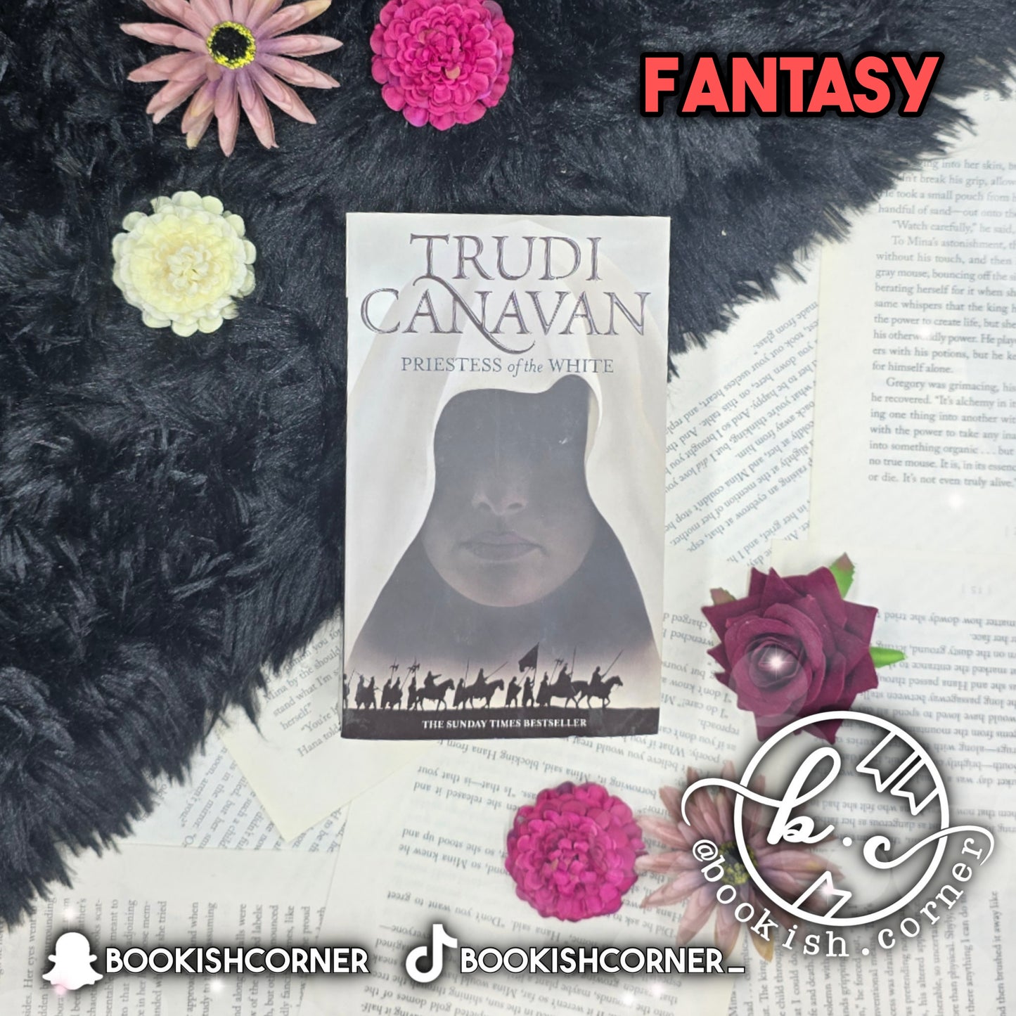 Priestess of the White By Trudi Canavan