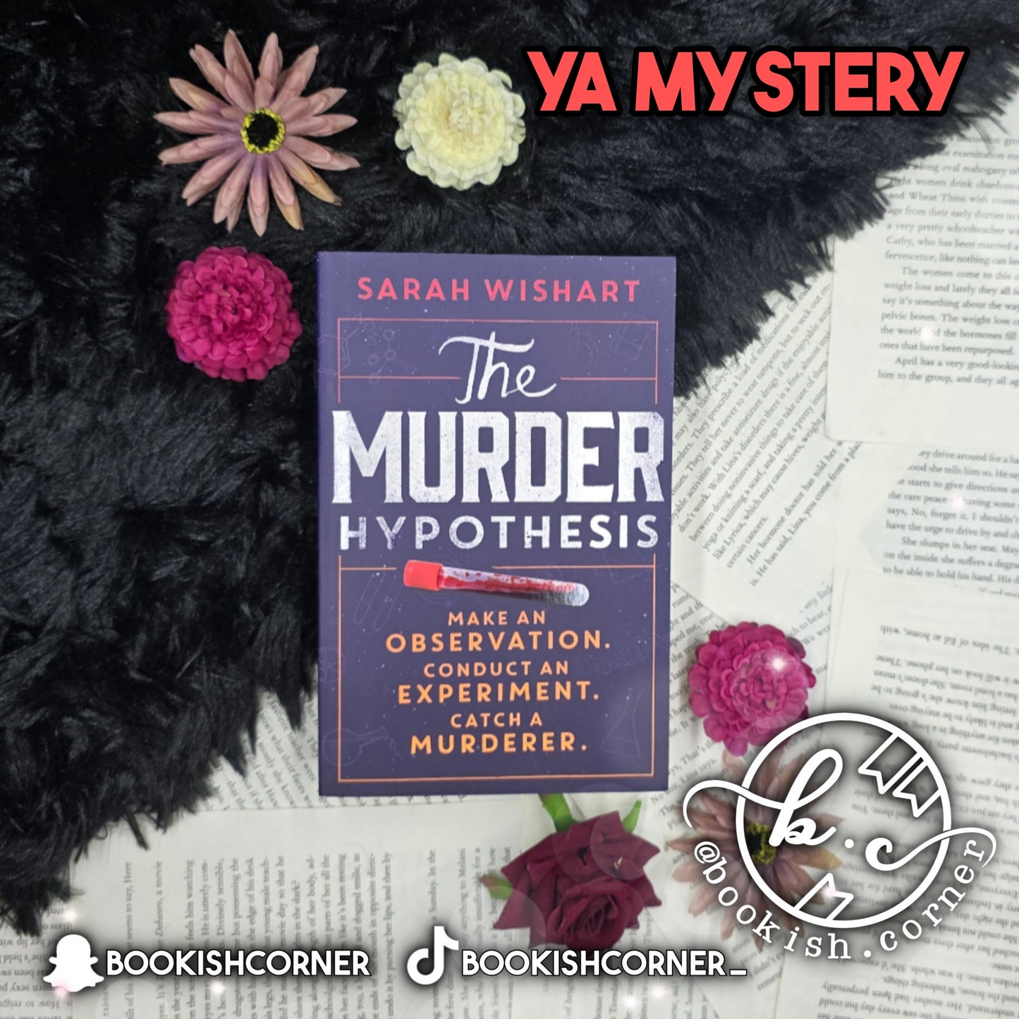 The Murder Hypothesis By Sarah Wishart