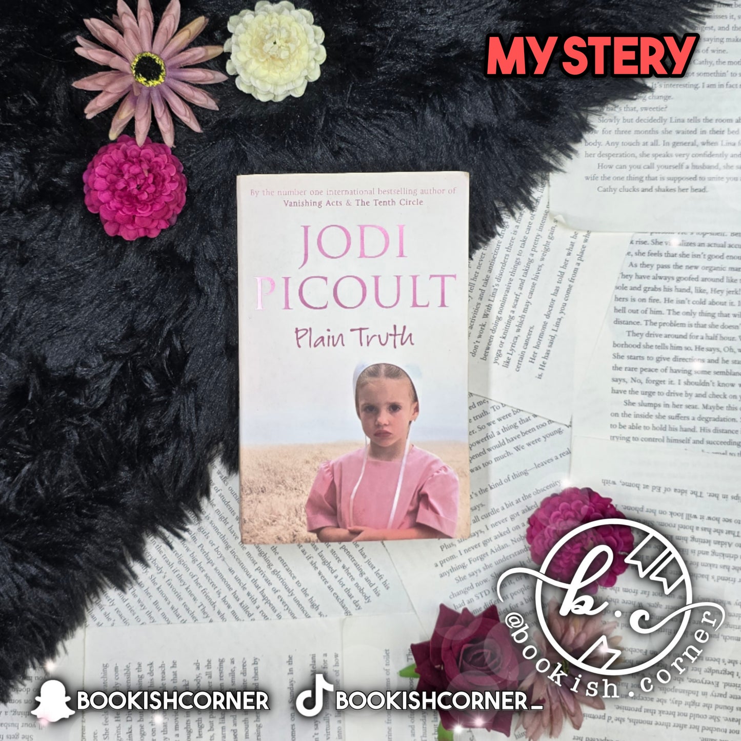 Plain Truth By Jodi Picoult