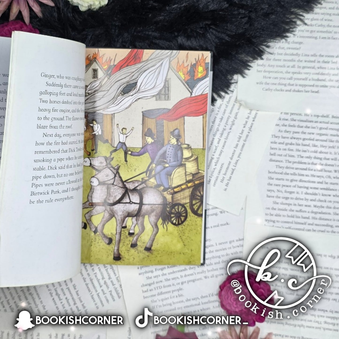 Black Beauty (abridged) By Anna Sewell